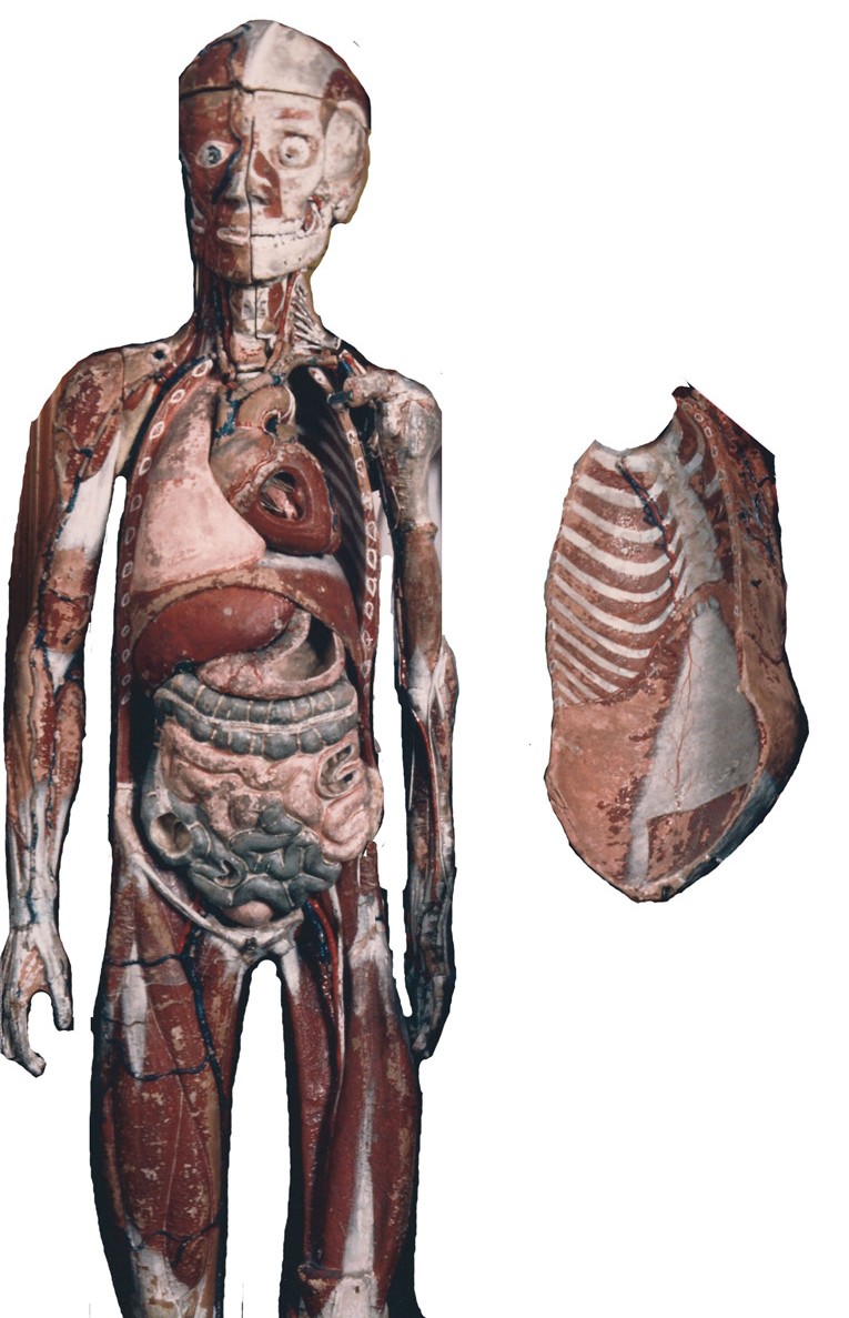 Enlarged image for image #2