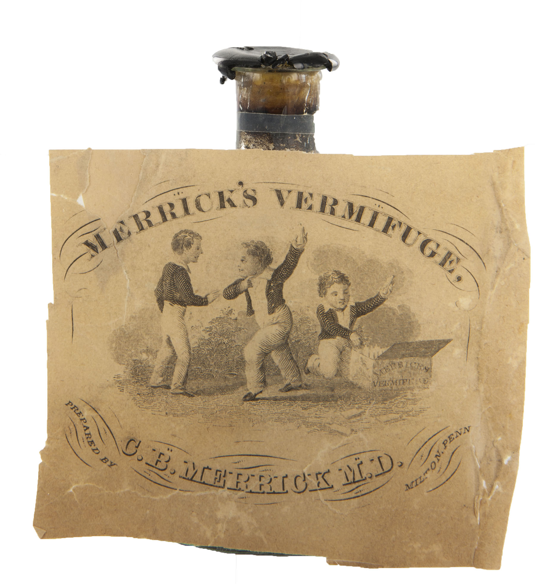 Enlarged image for image #2