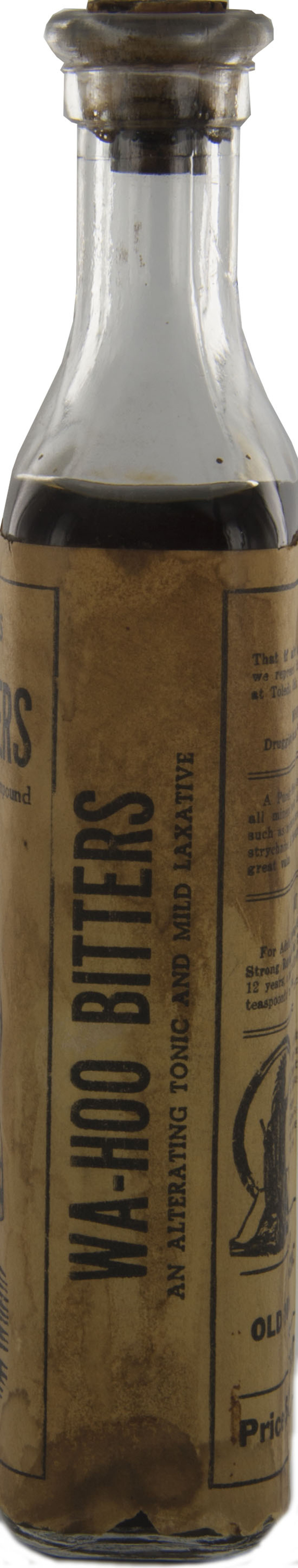 Enlarged image for image #2