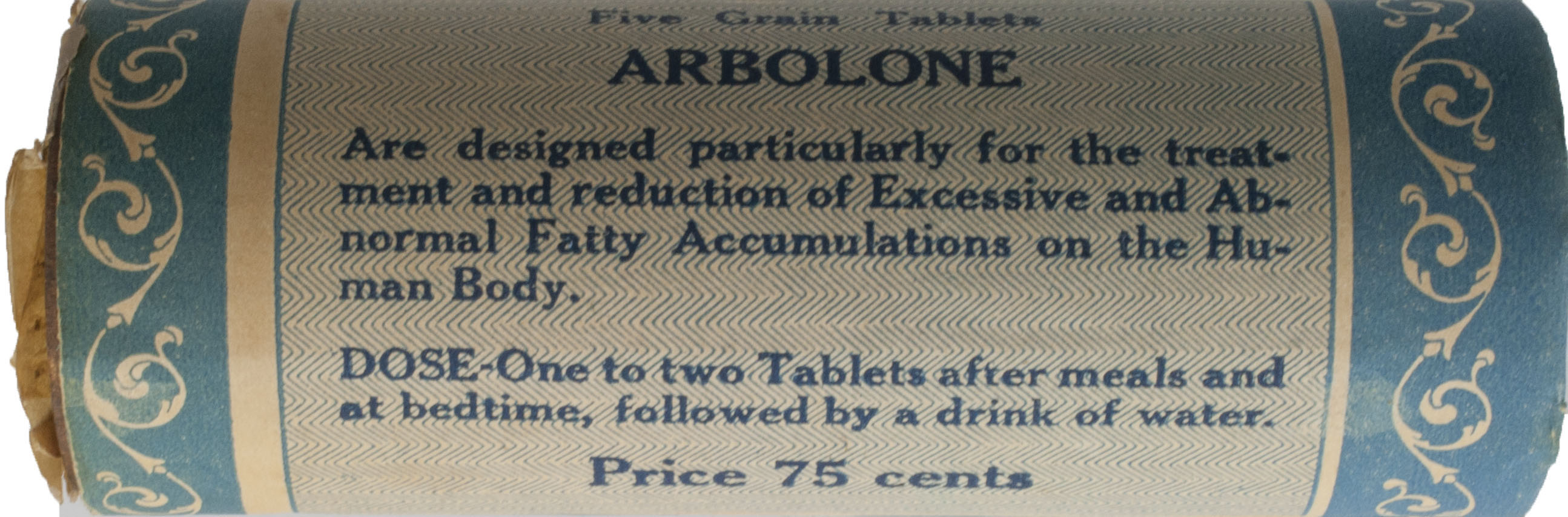 Enlarged image for image #2