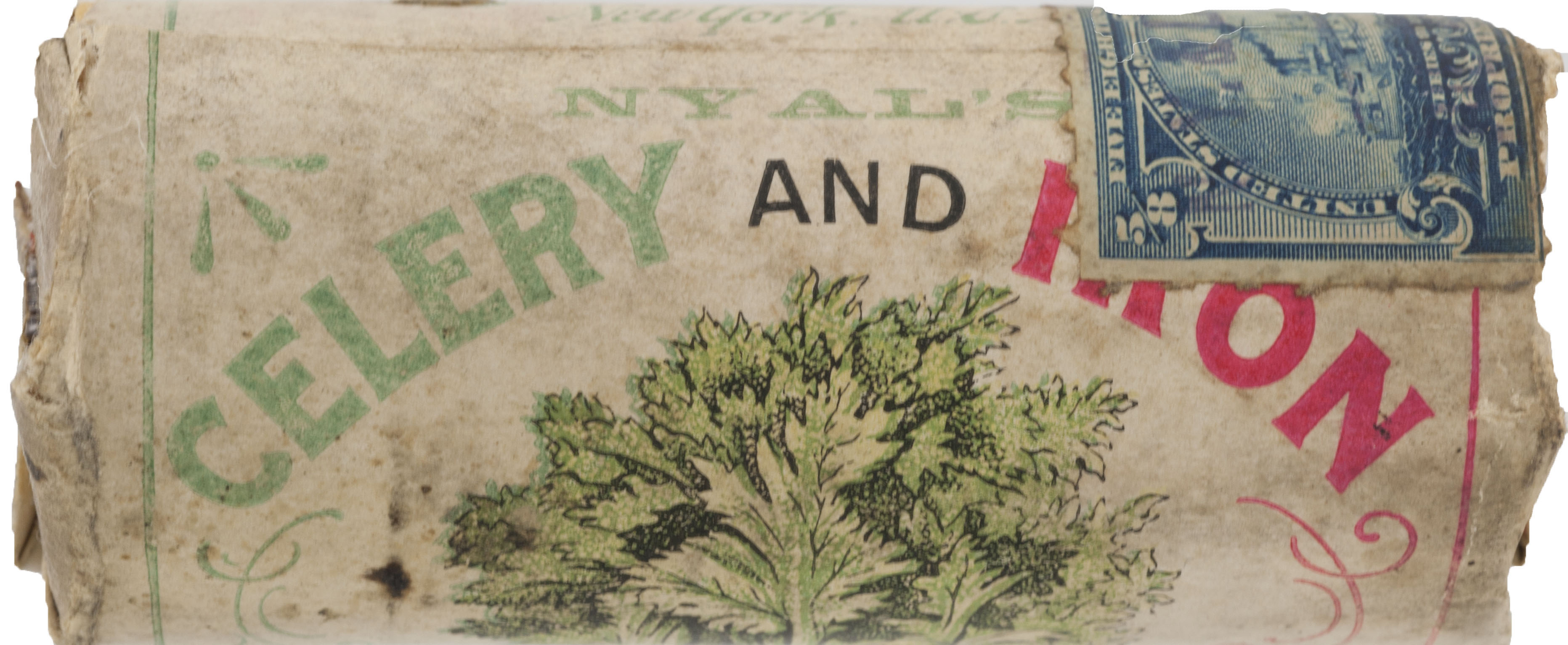 Enlarged image for image #8