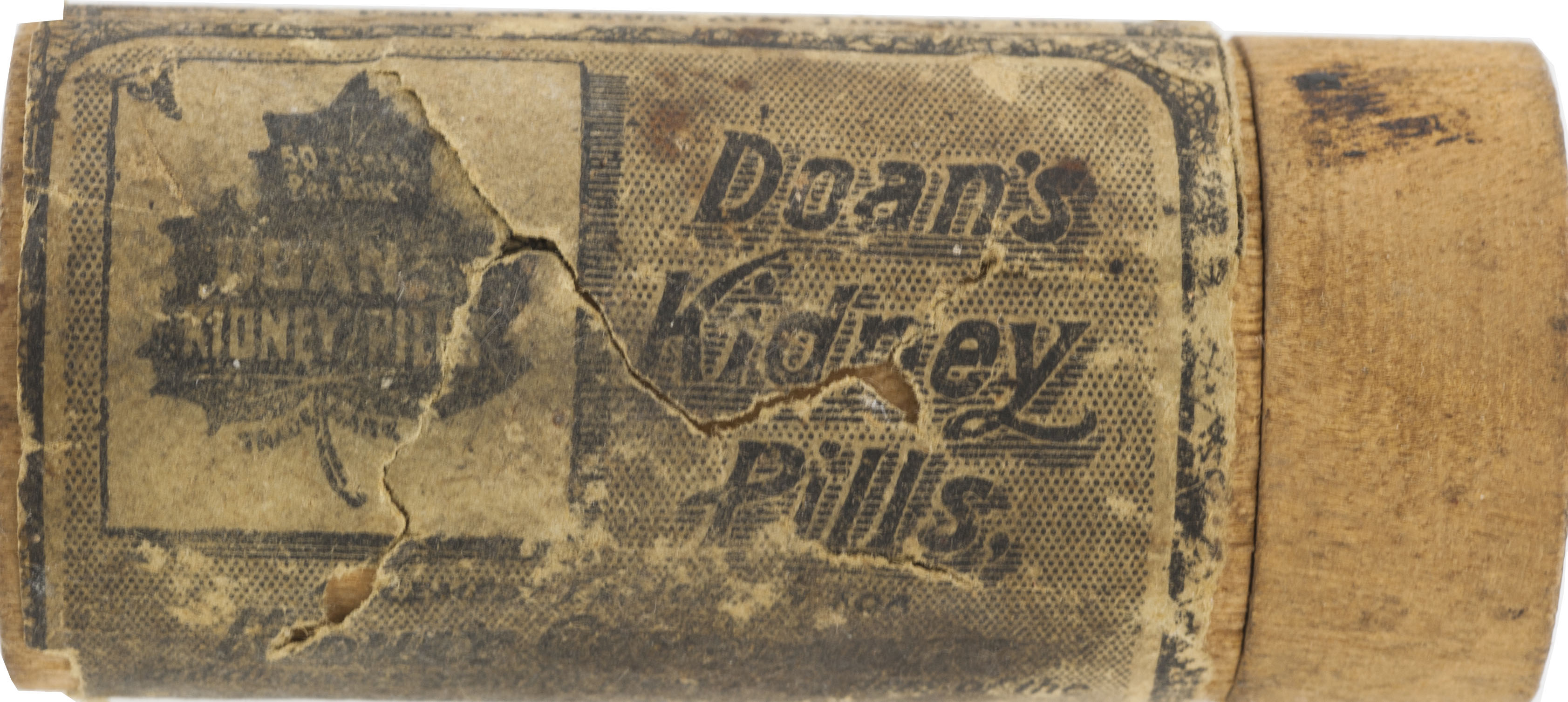 Enlarged image for image #2