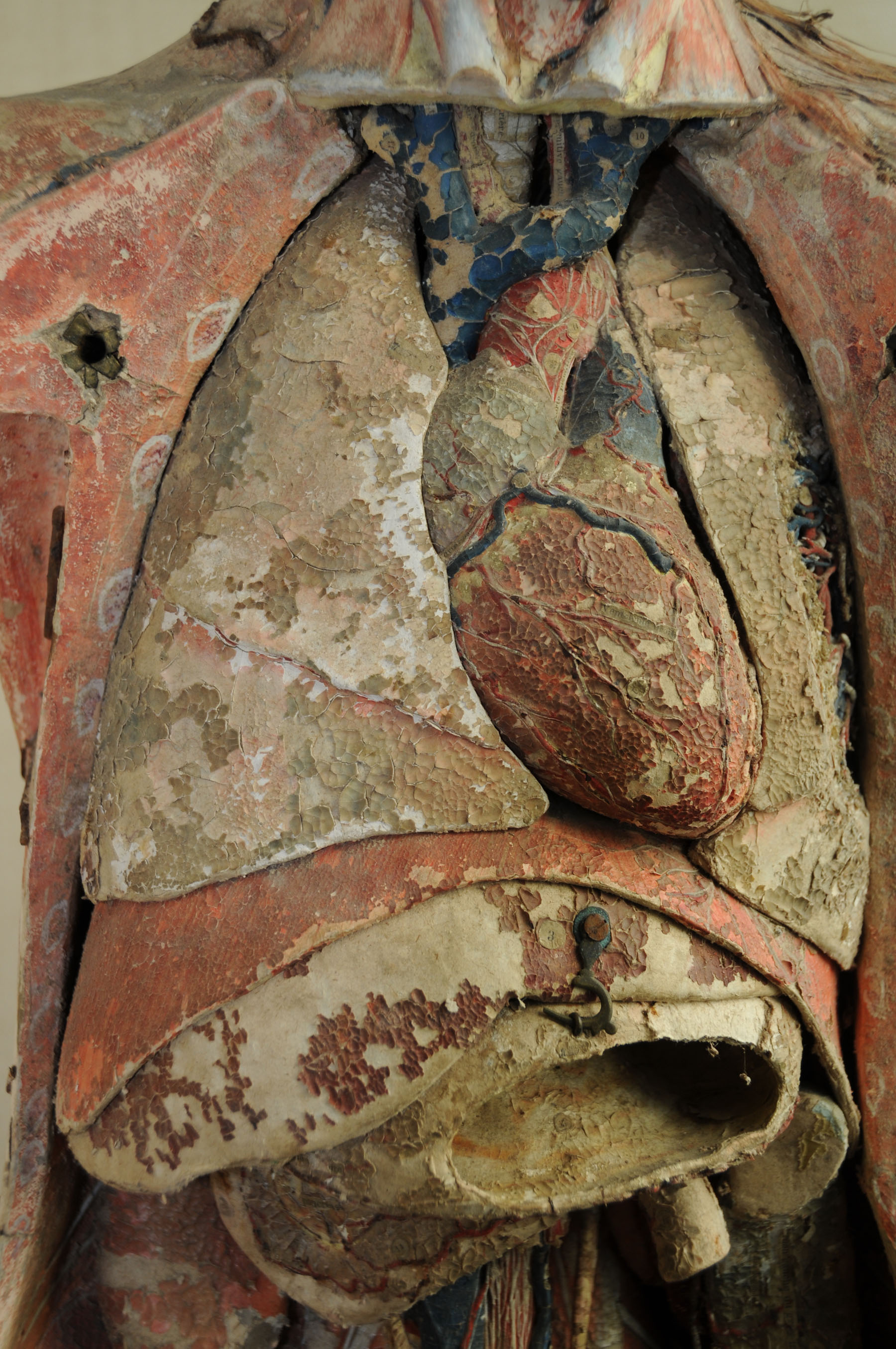 Enlarged image for image #9