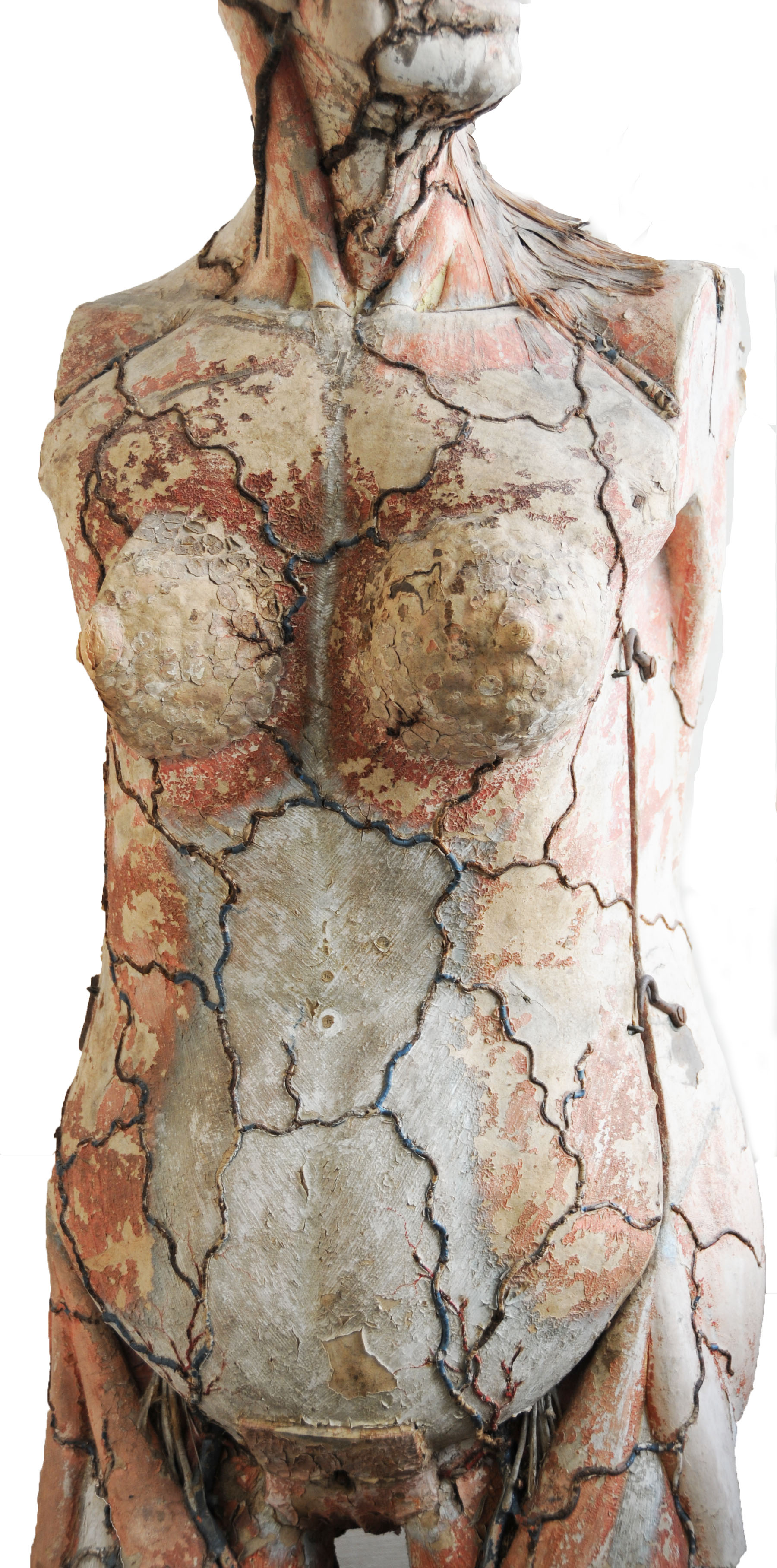 Enlarged image for image #4