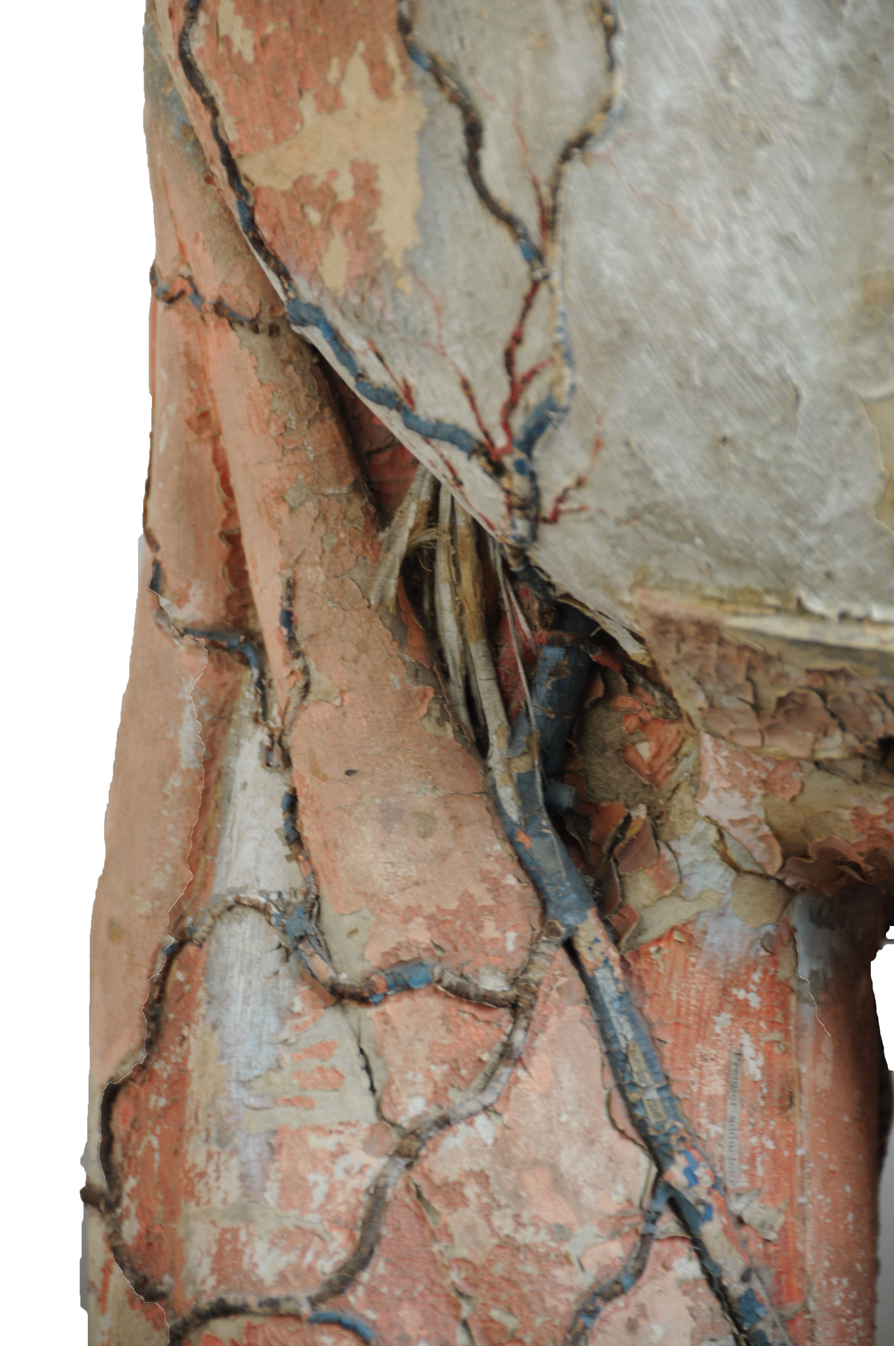 Enlarged image for image #15