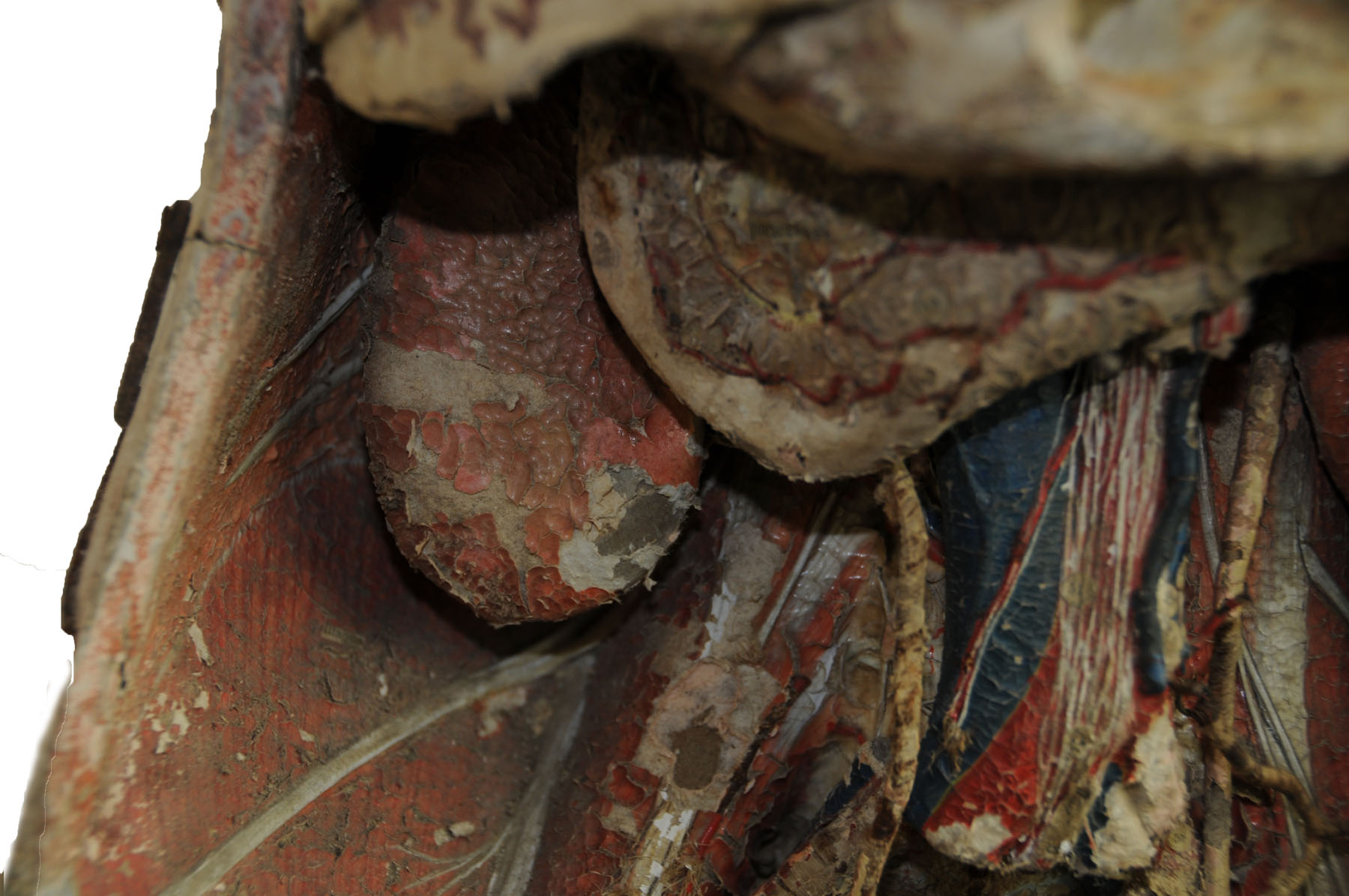 Enlarged image for image #7