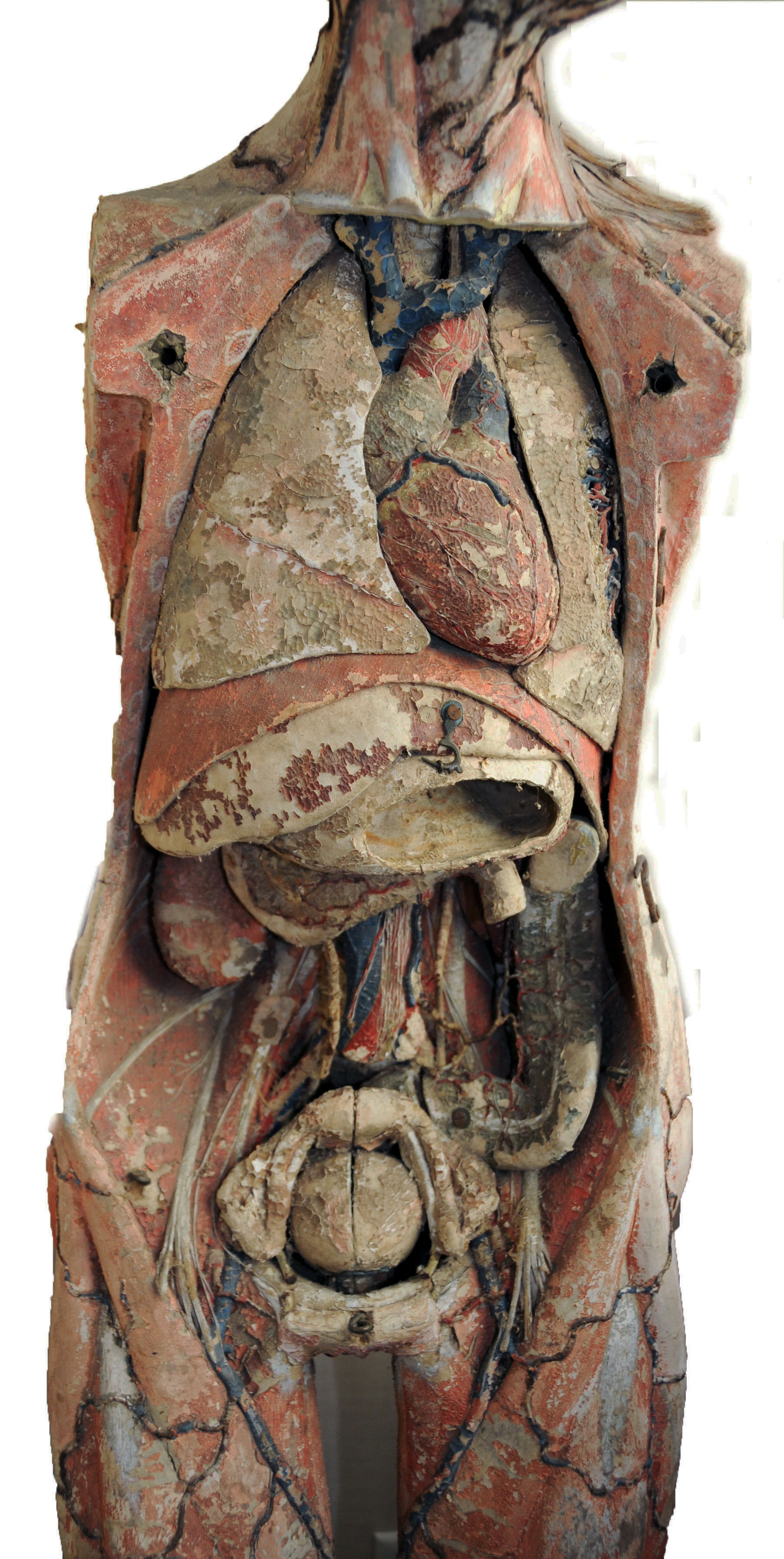 Enlarged image for image #12