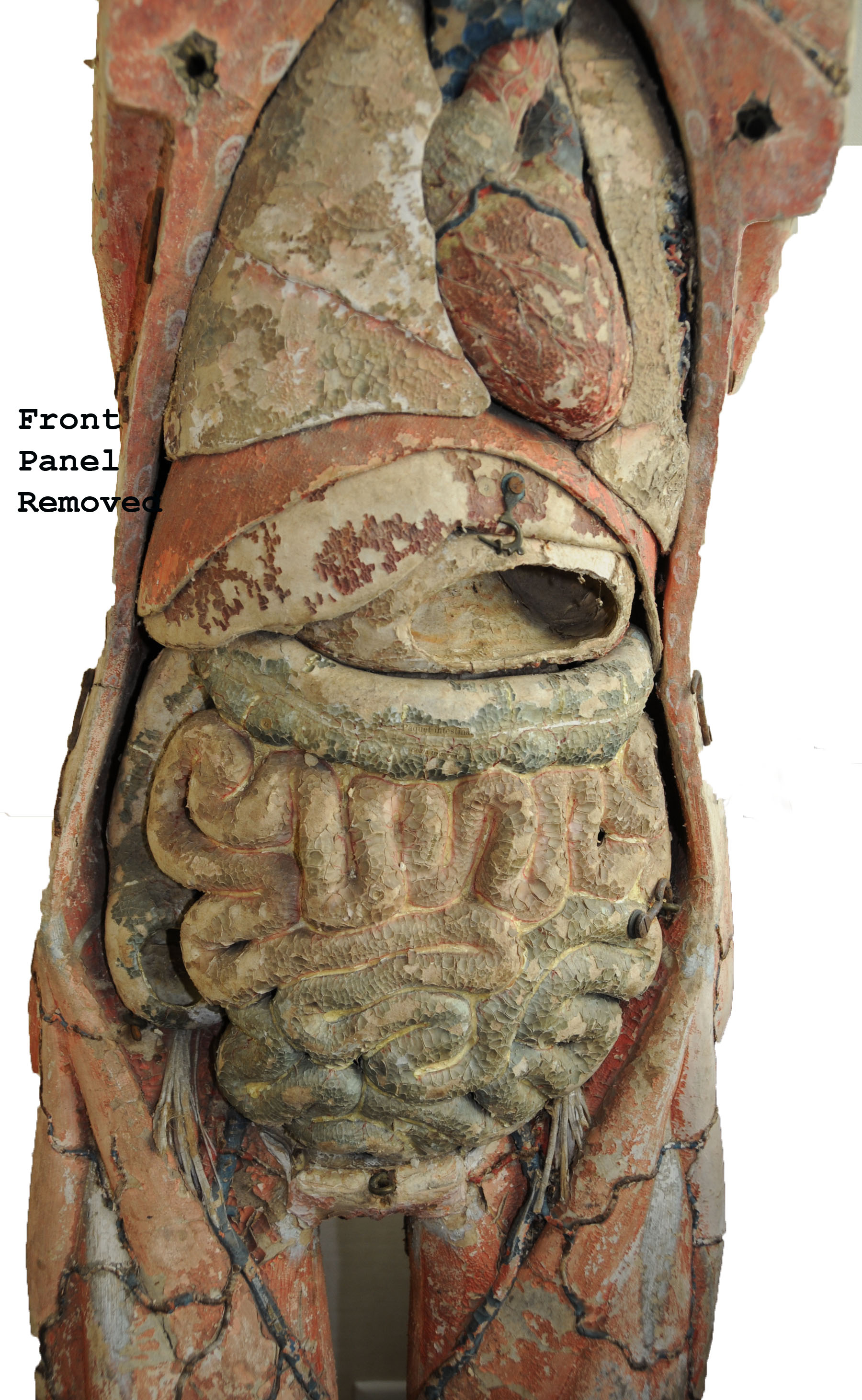 Enlarged image for image #6