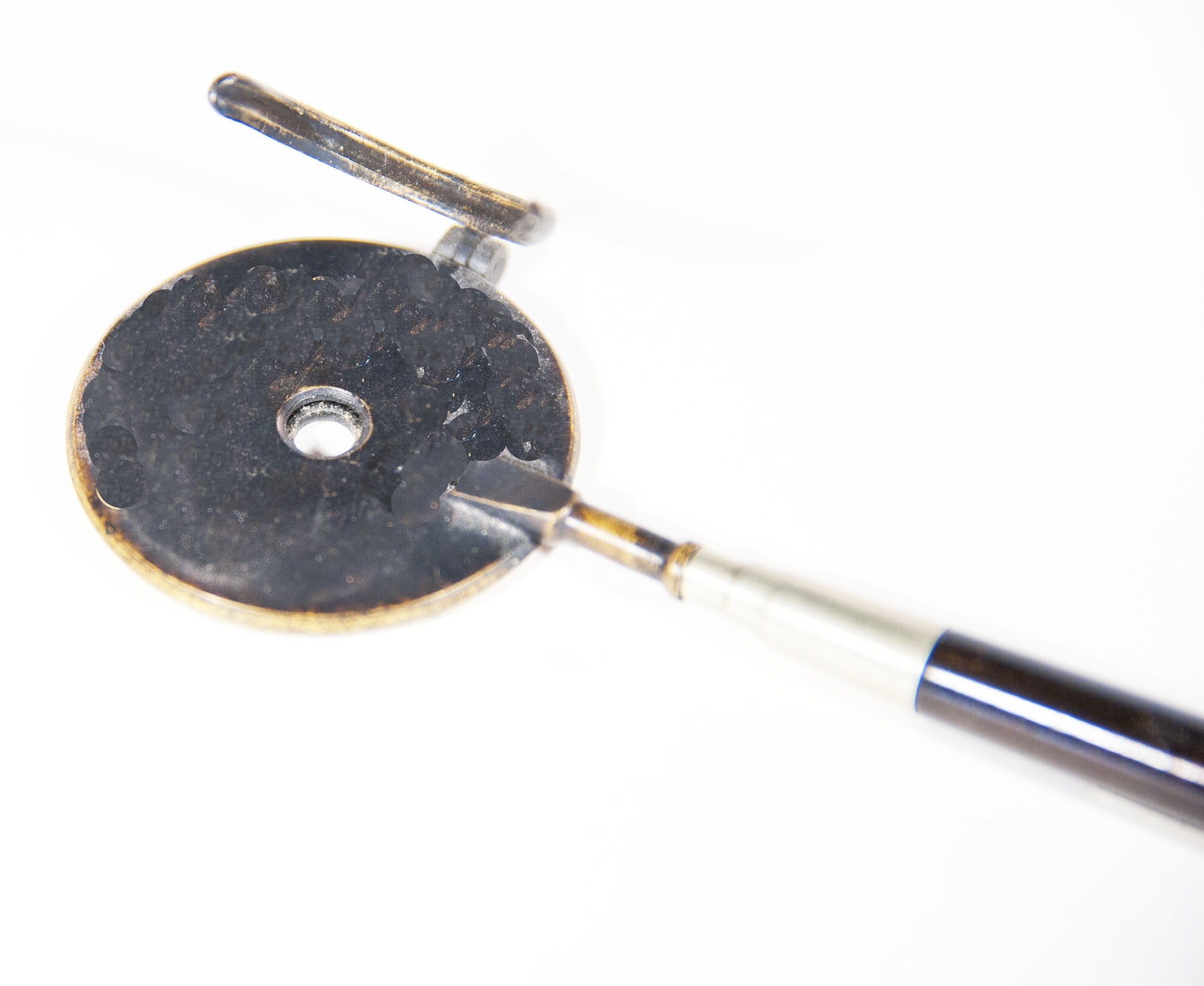 Enlarged image for image #4