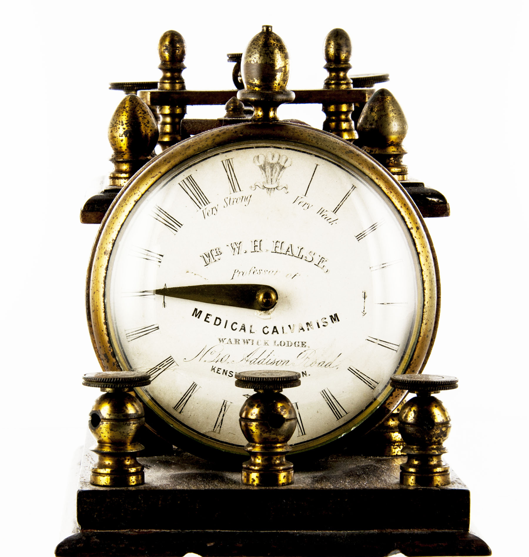 Enlarged image for image #1