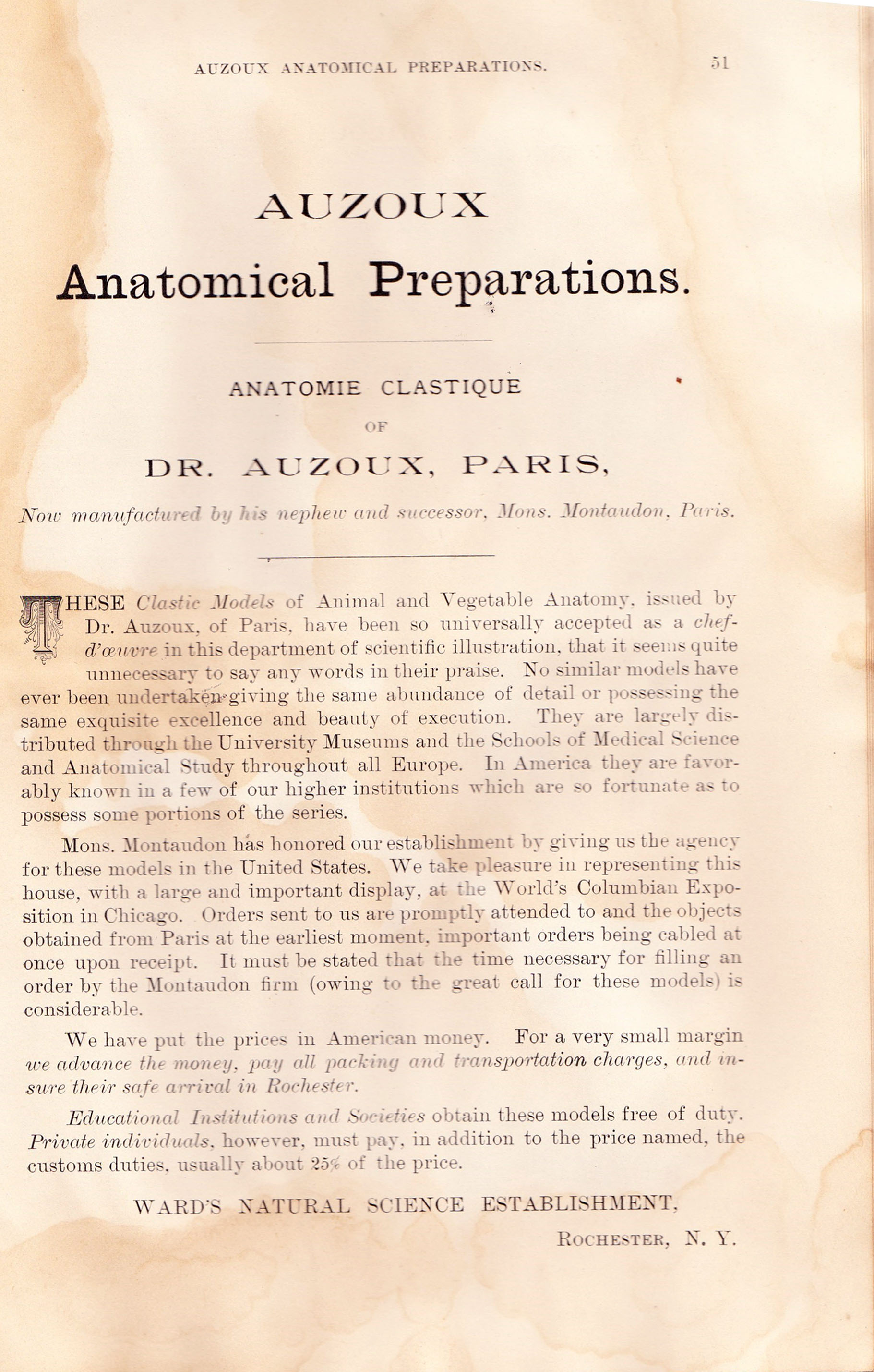 Enlarged image for image #7