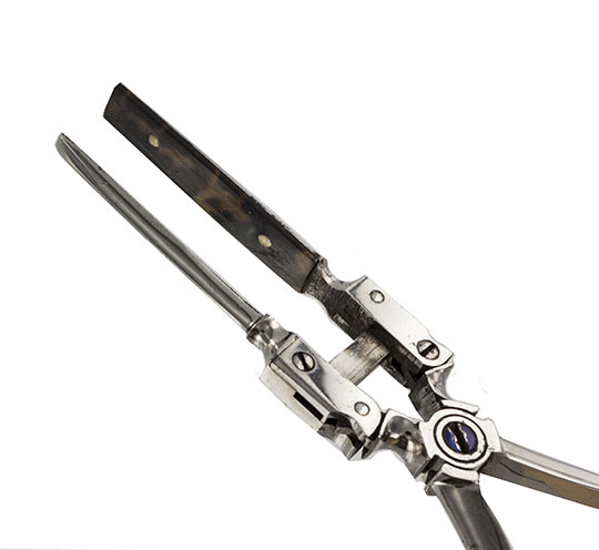 Enlarged image for image #3