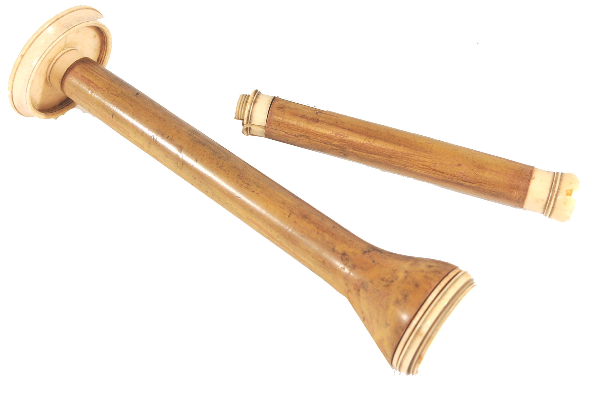 Enlarged image for image #2