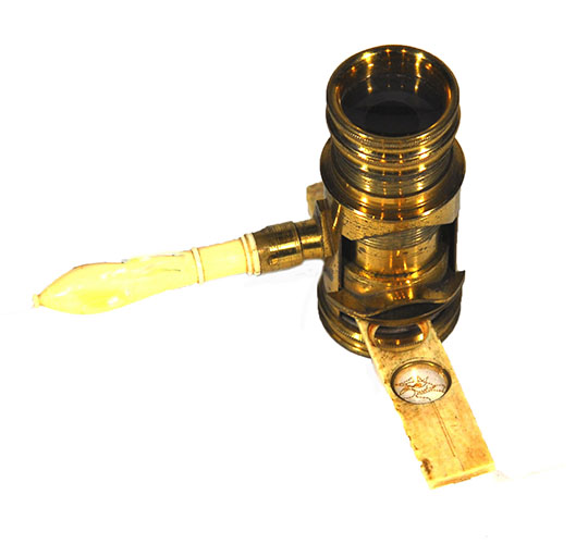 Enlarged image for image #2