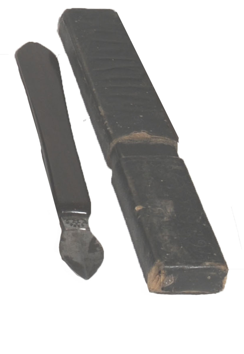 Enlarged image for image #1