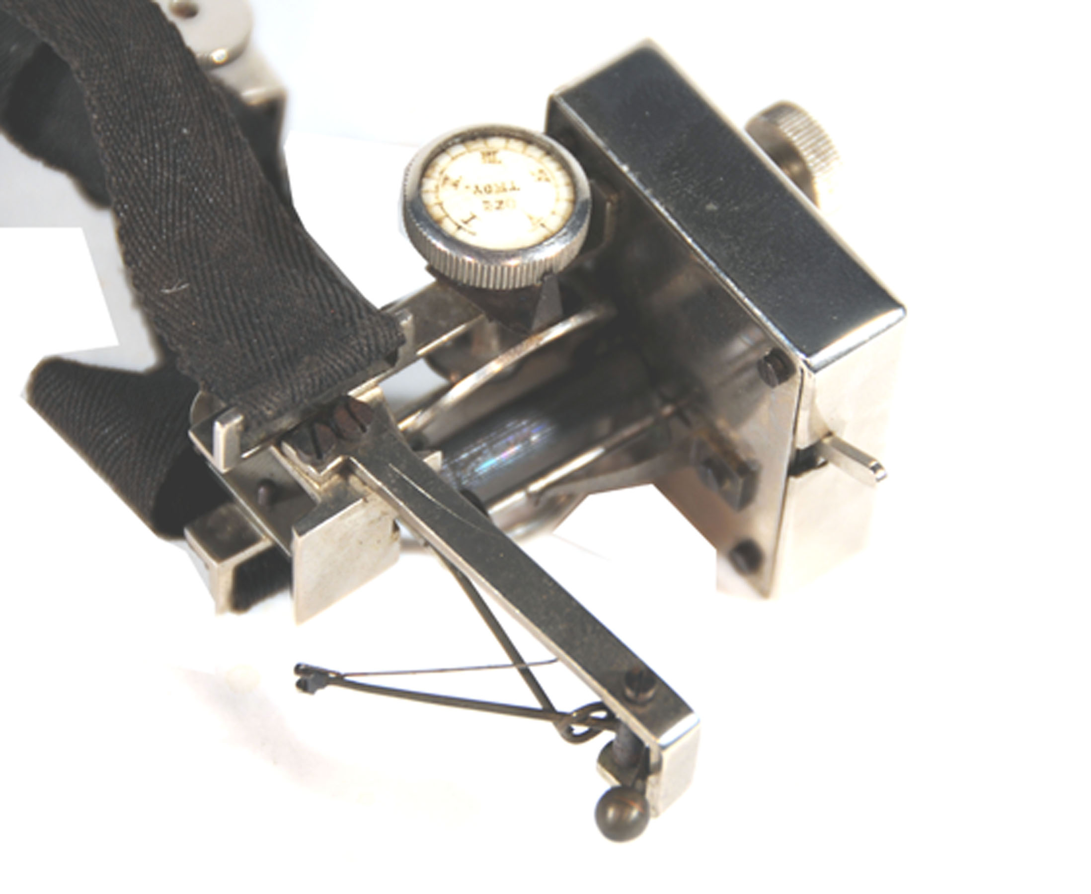 Enlarged image for image #2