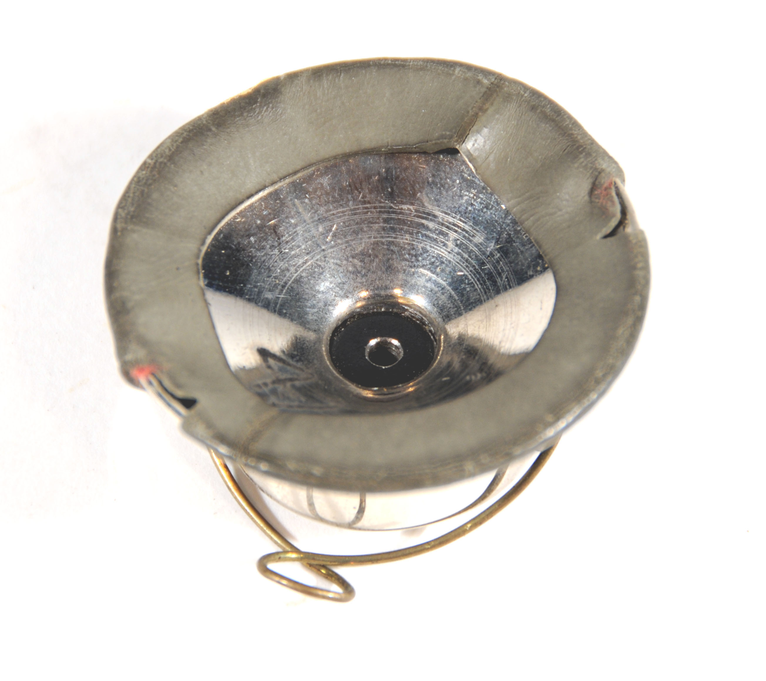 Enlarged image for image #2