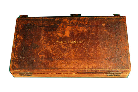 Enlarged image for image #5