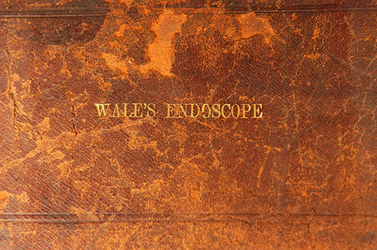 Enlarged image for image #9