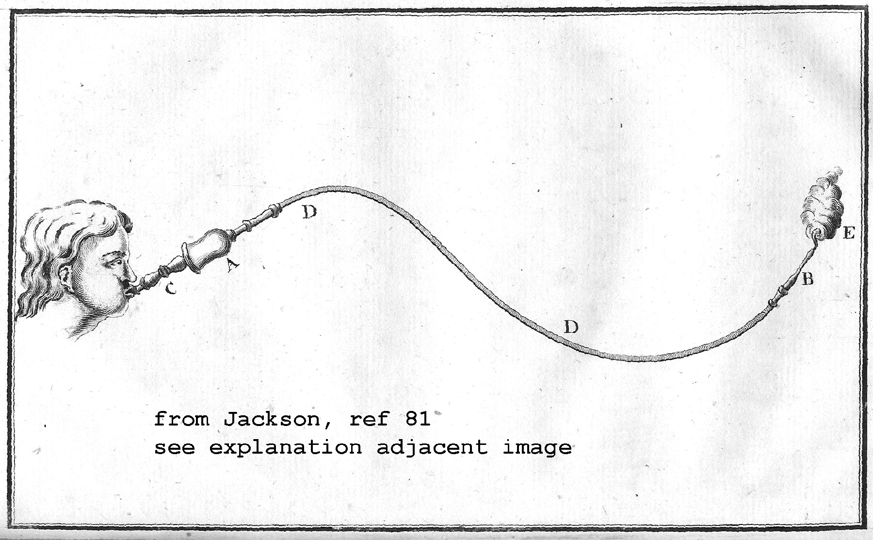 Enlarged image for image #9