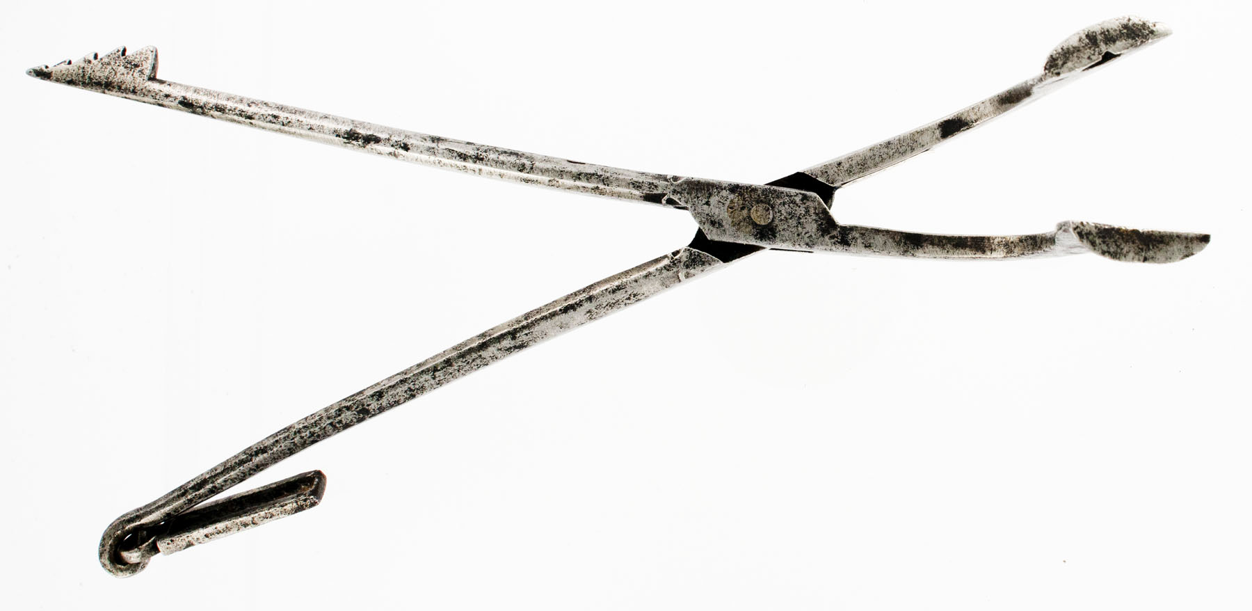 Enlarged image for image #2