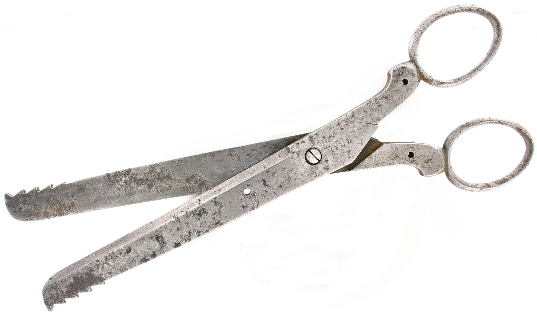 Enlarged image for image #2