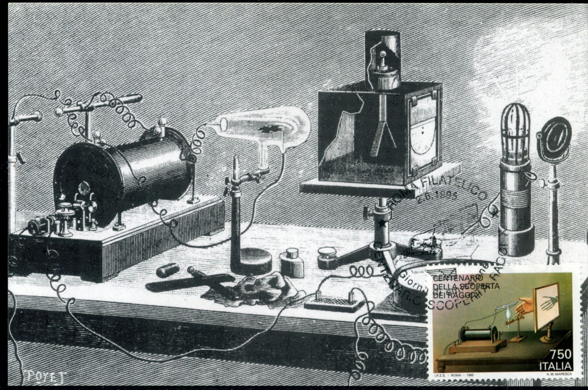 Enlarged image for image #6