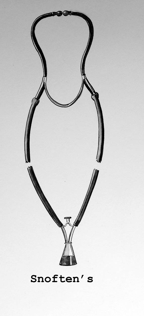 Enlarged image for image #1