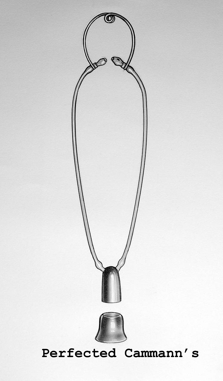 Enlarged image for image #1