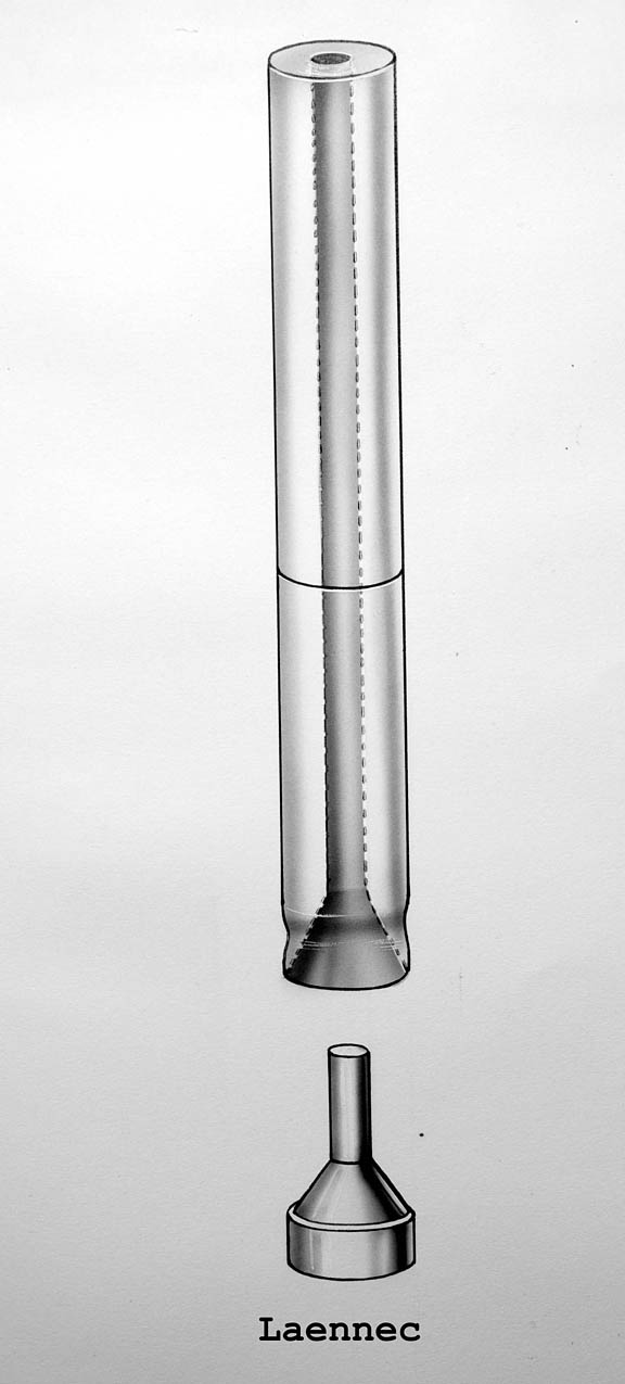 Enlarged image for image #1