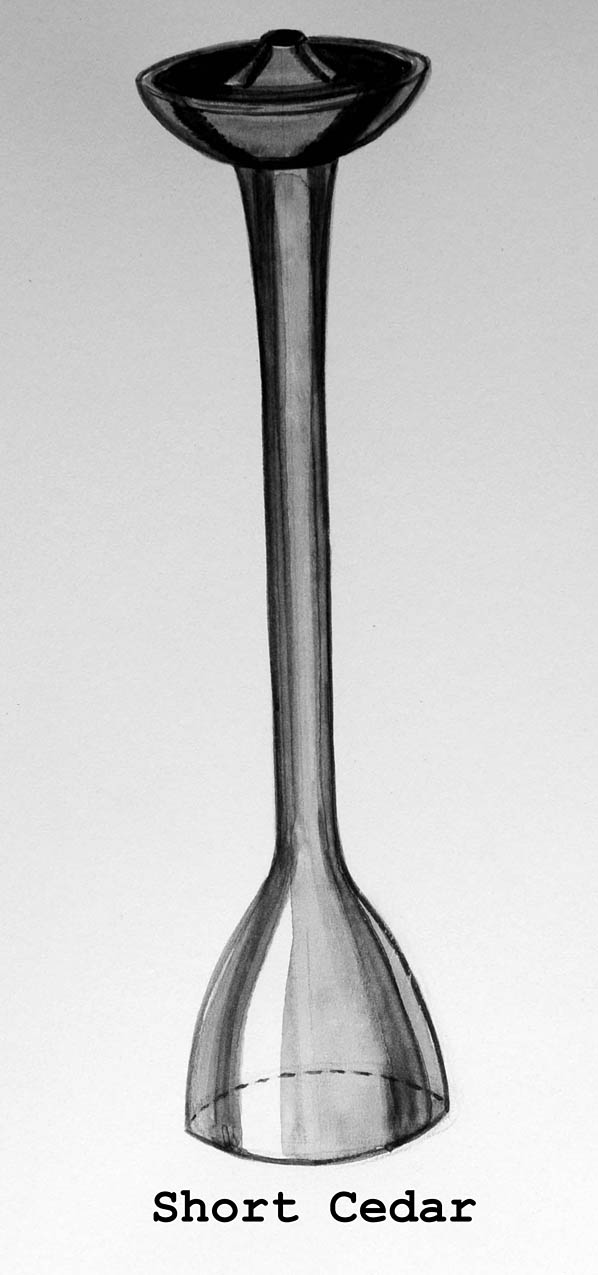 Enlarged image for image #1