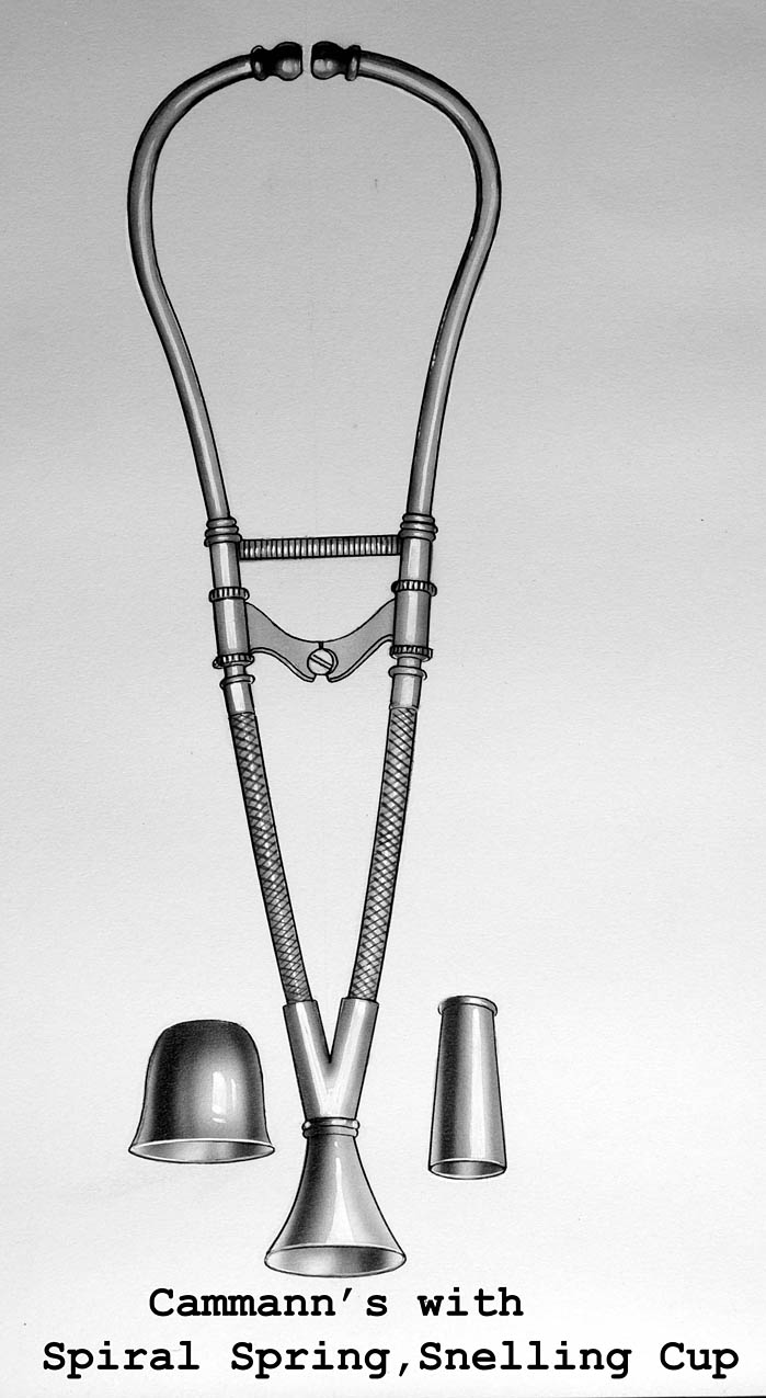 Enlarged image for image #1