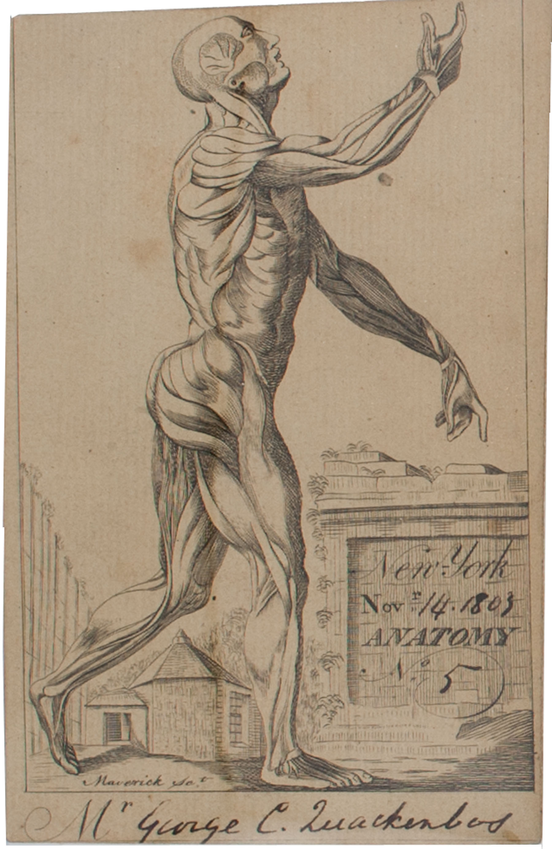 Enlarged image for image #4