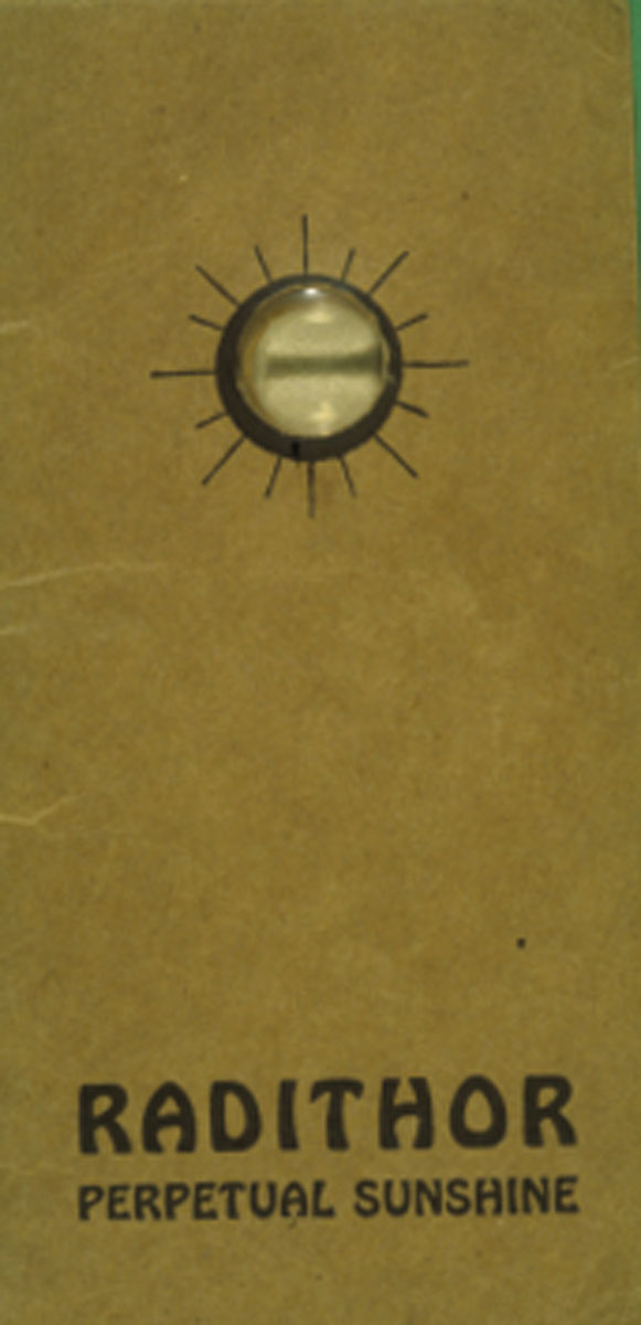 Enlarged image for image #2