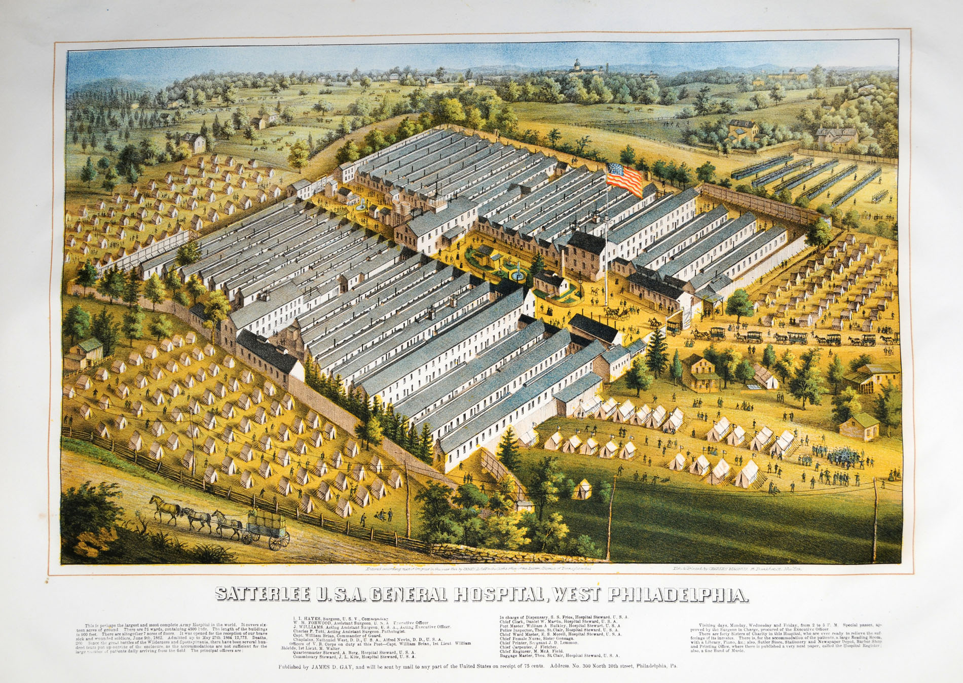 Enlarged image for image #1