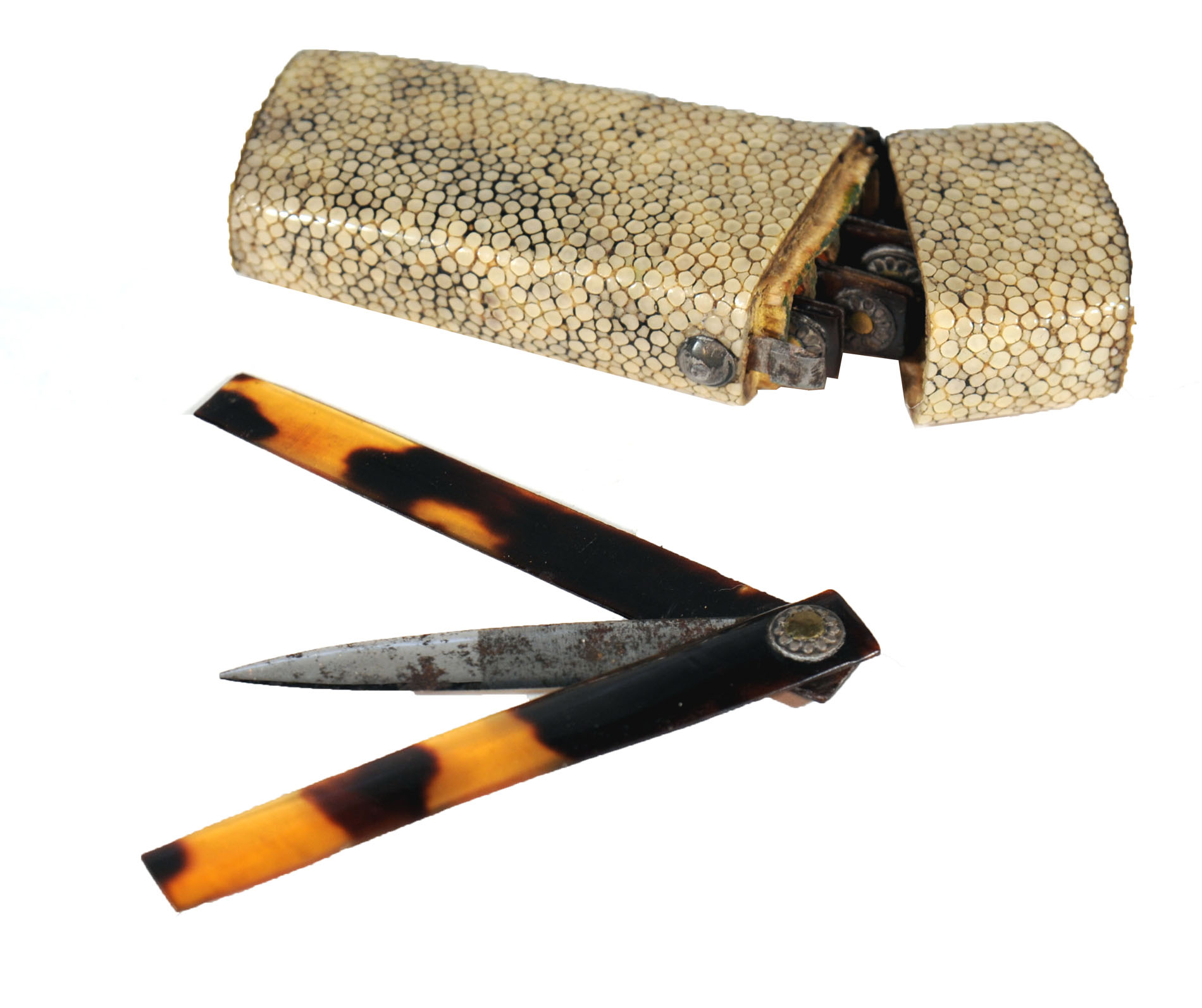 Enlarged image for image #1