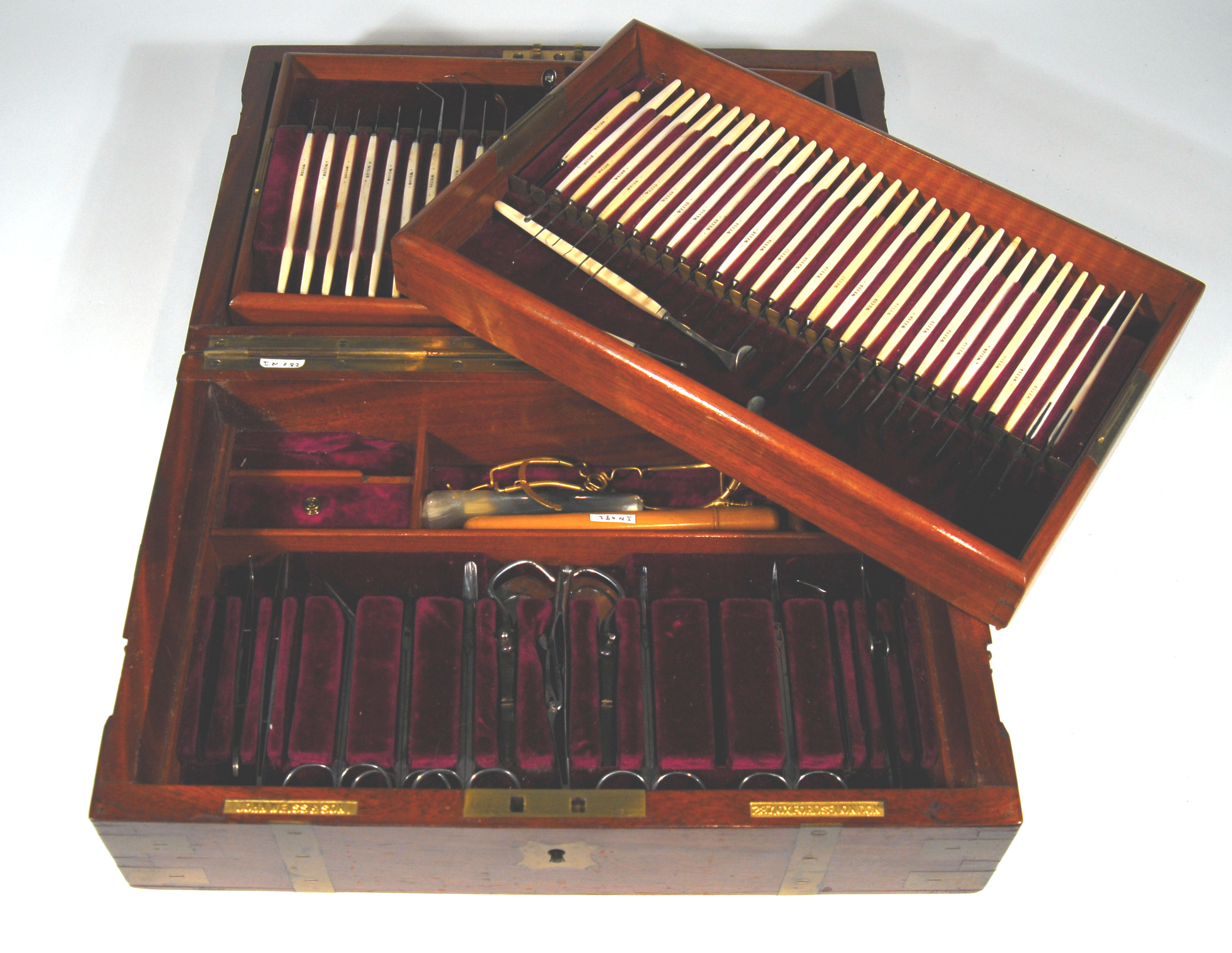 Enlarged image for image #1