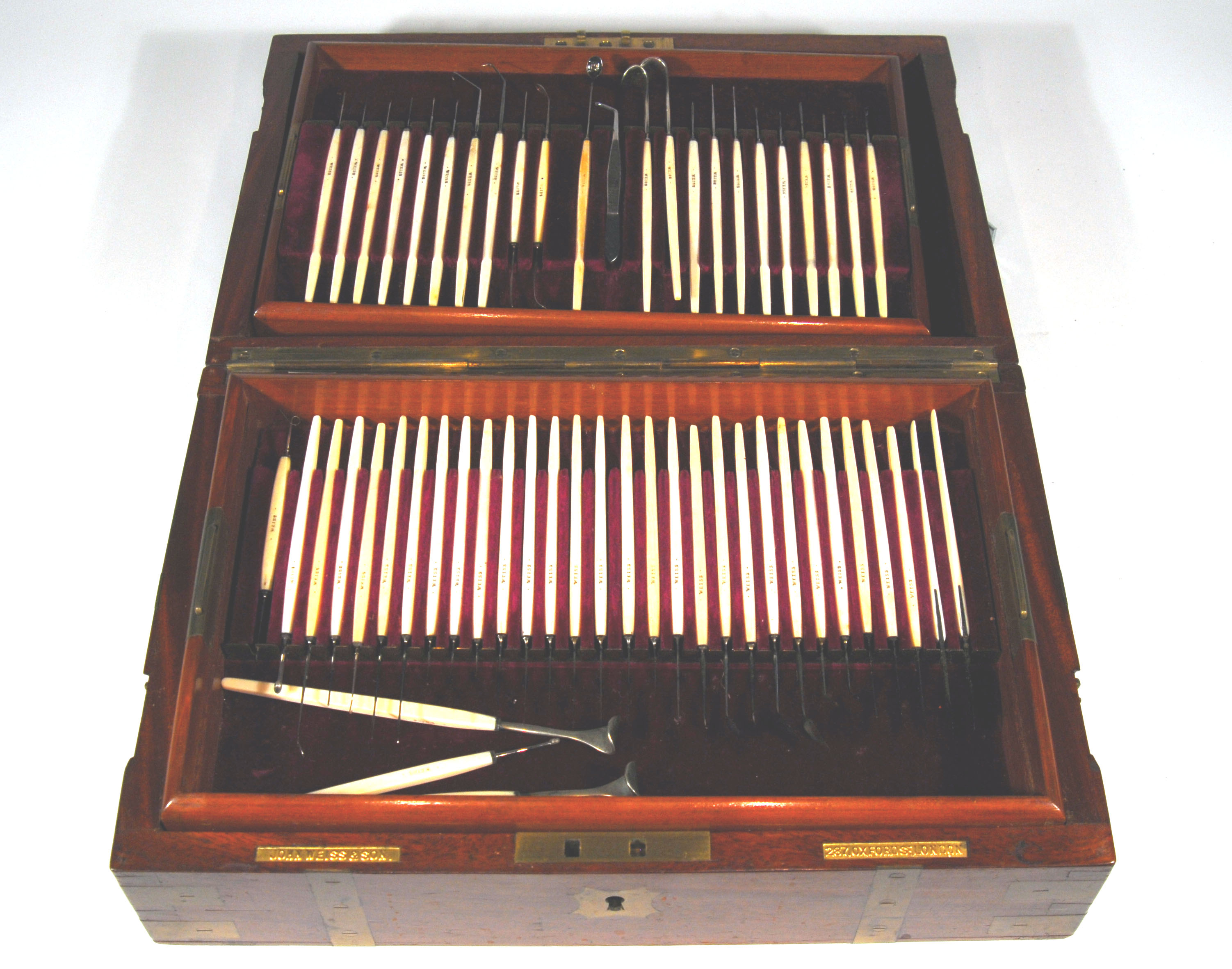 Enlarged image for image #2