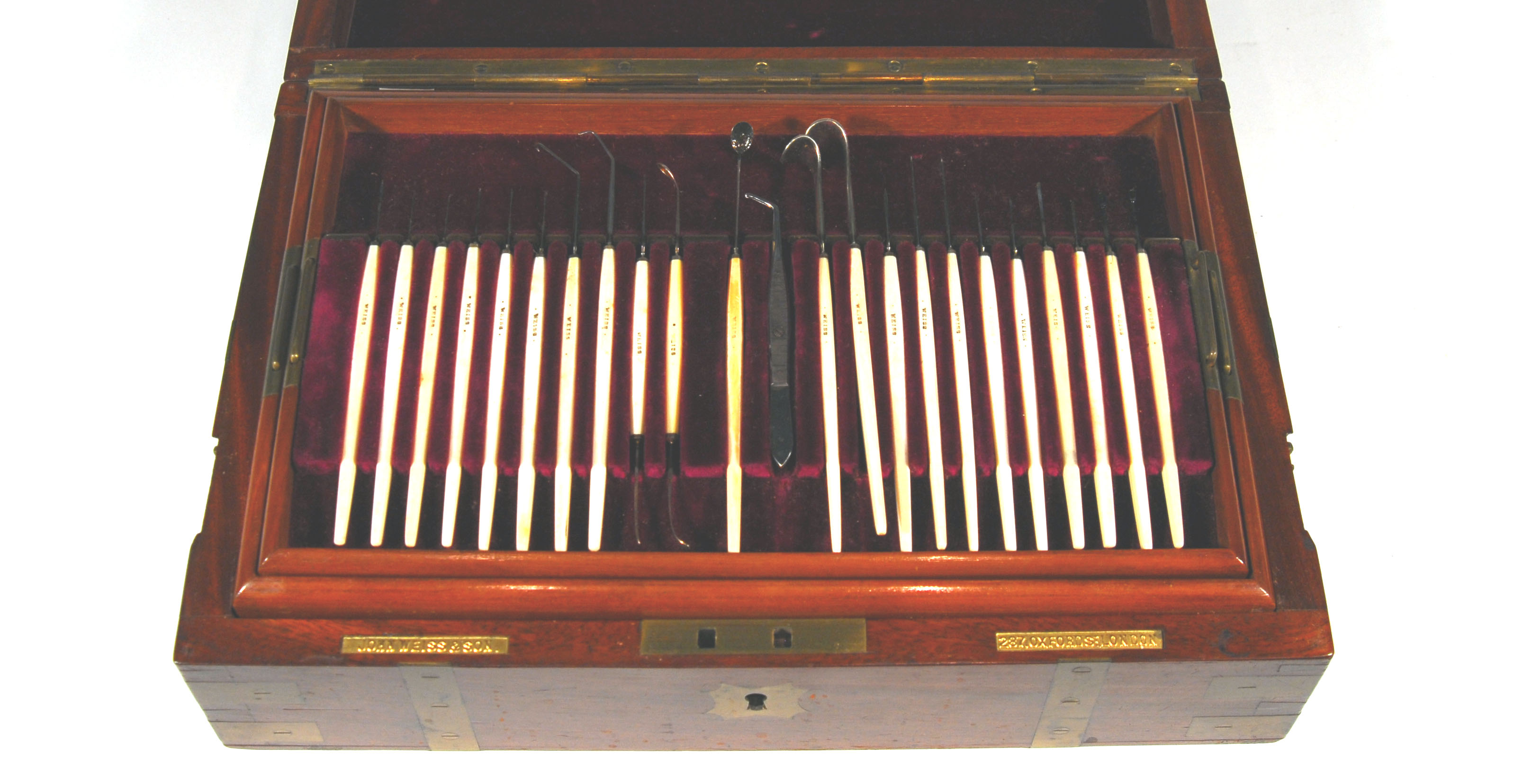 Enlarged image for image #3