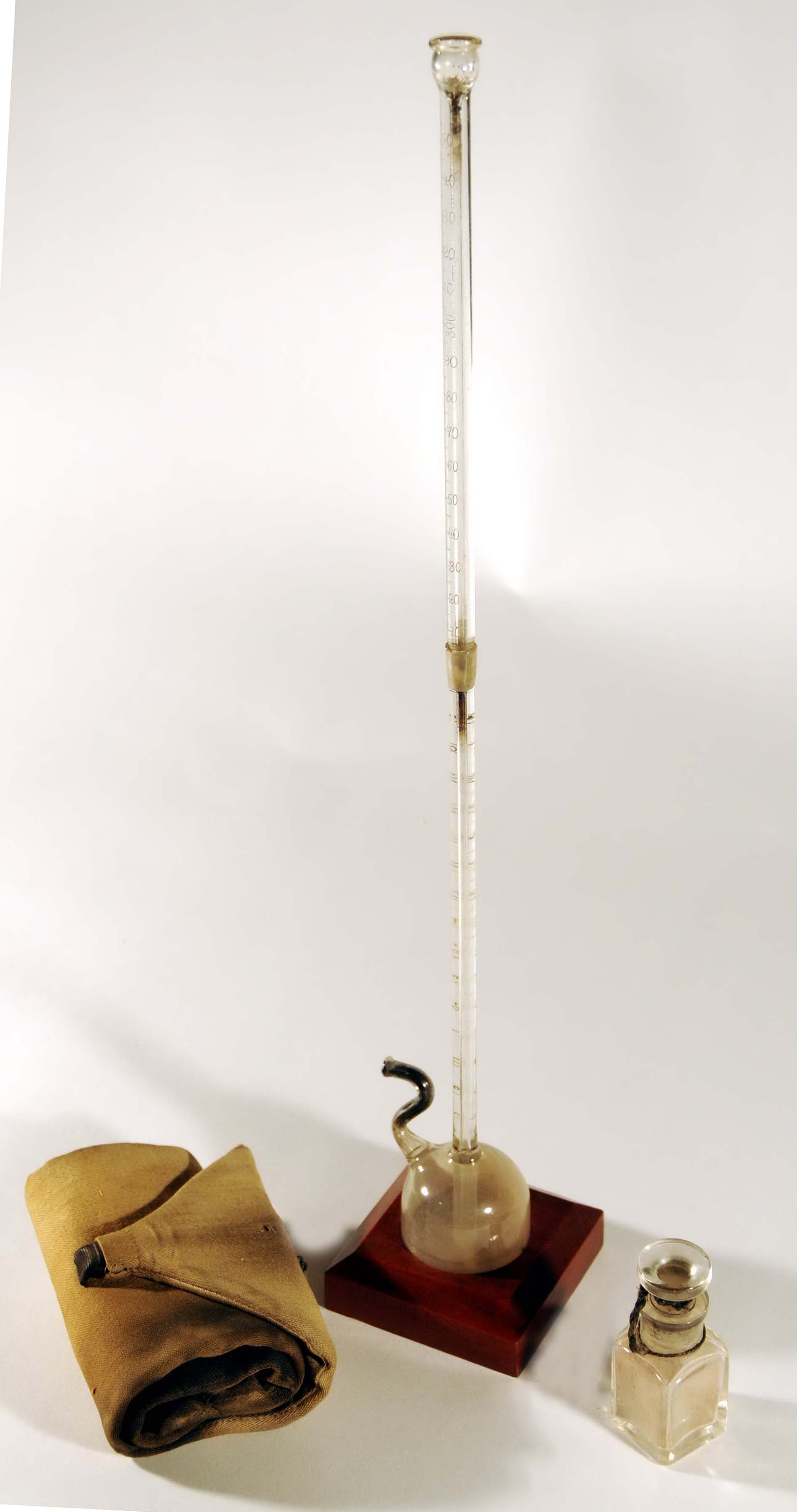 Enlarged image for image #1