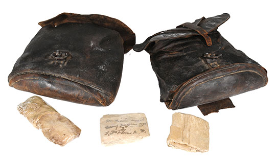 Enlarged image for image #1