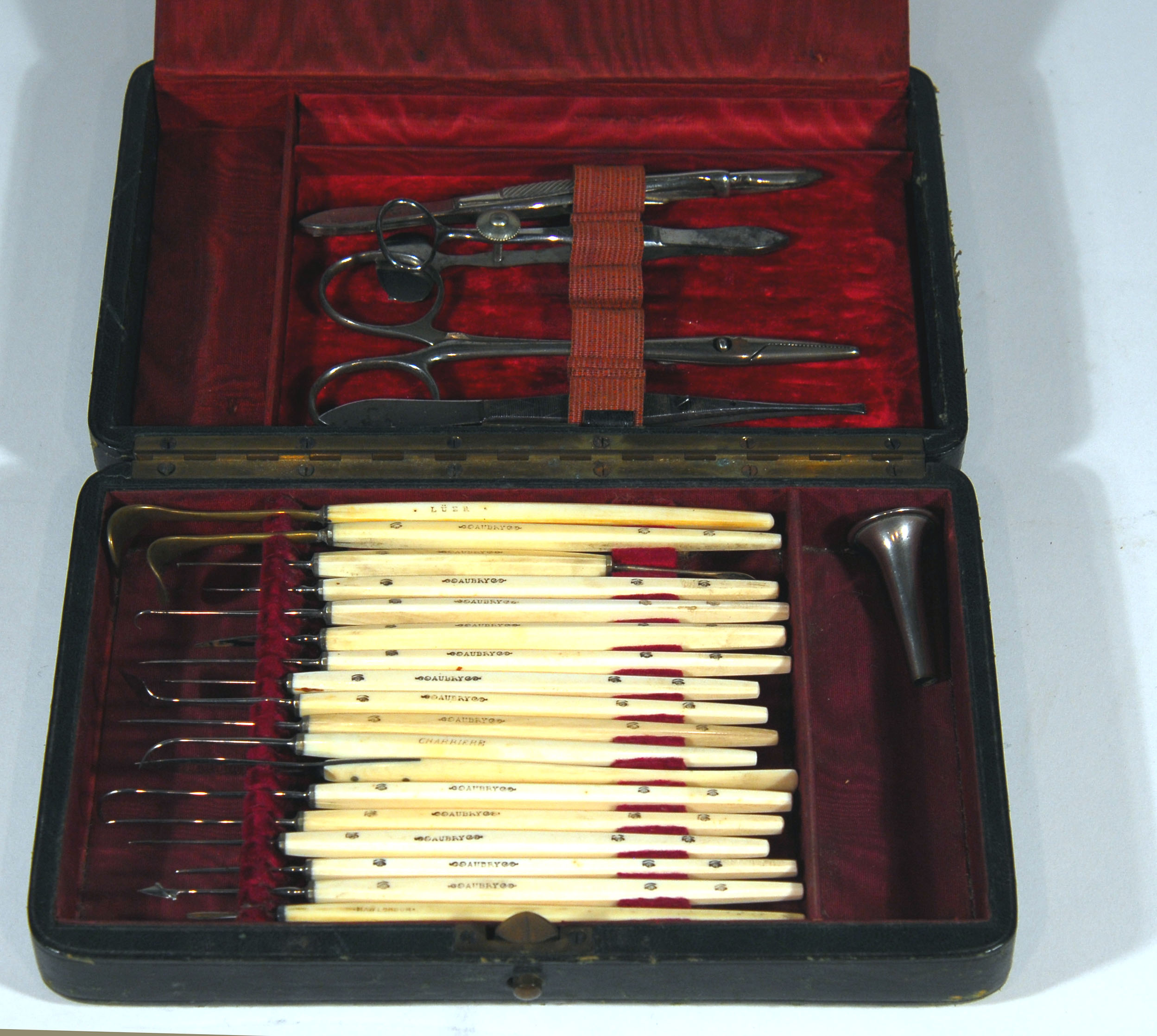 Enlarged image for image #2