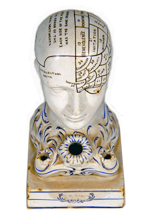 Enlarged image for image #1