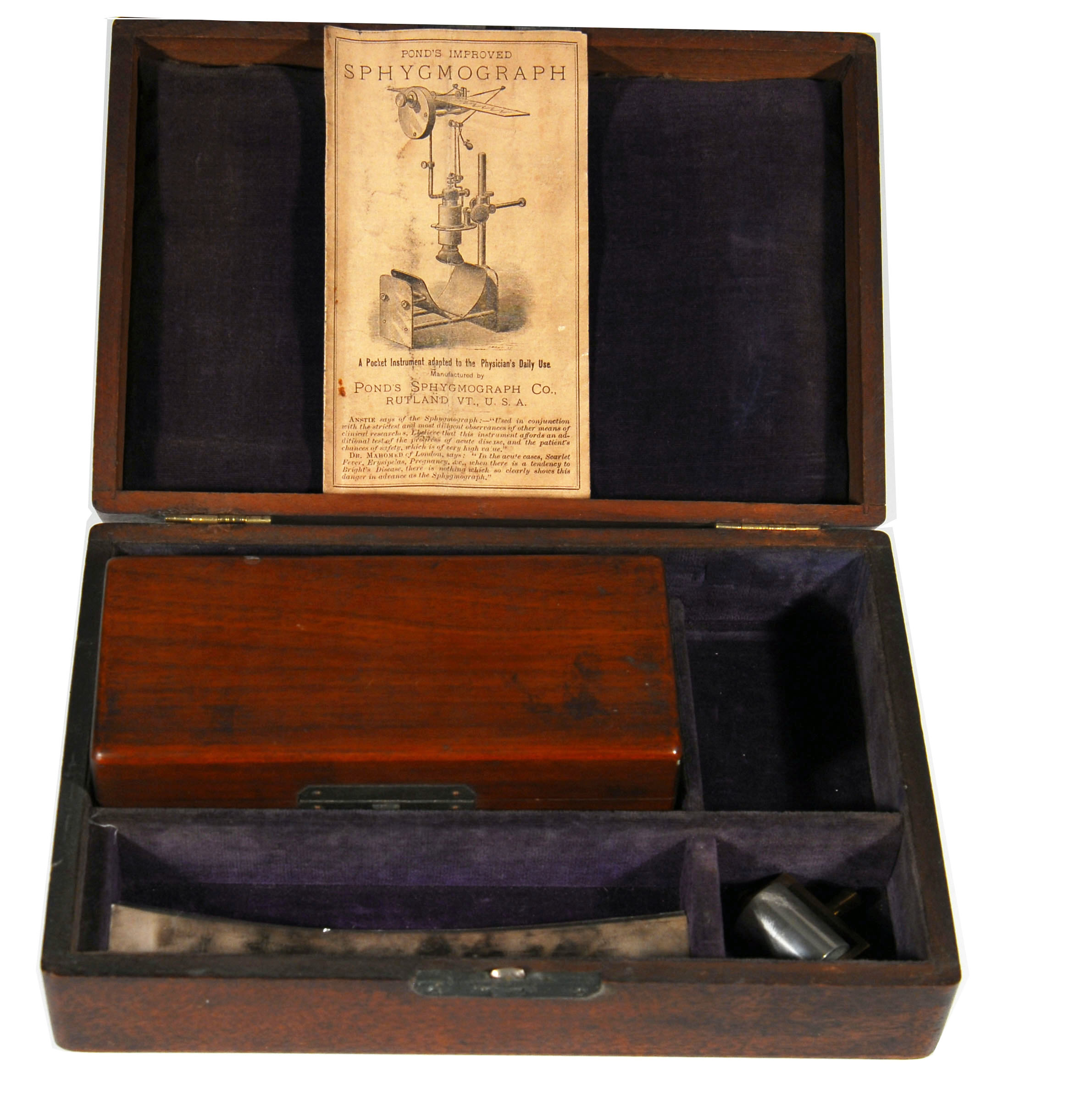 Enlarged image for image #6