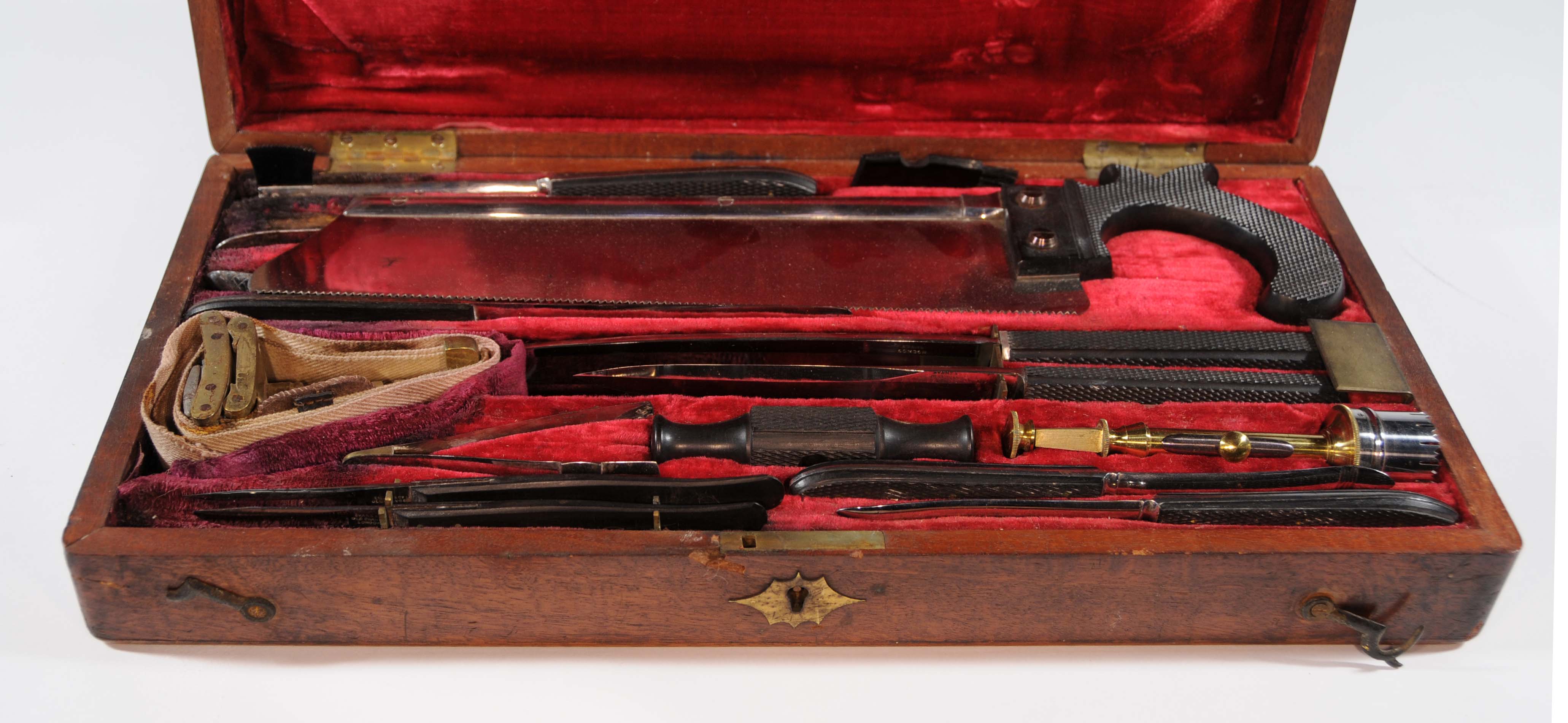 Enlarged image for image #1