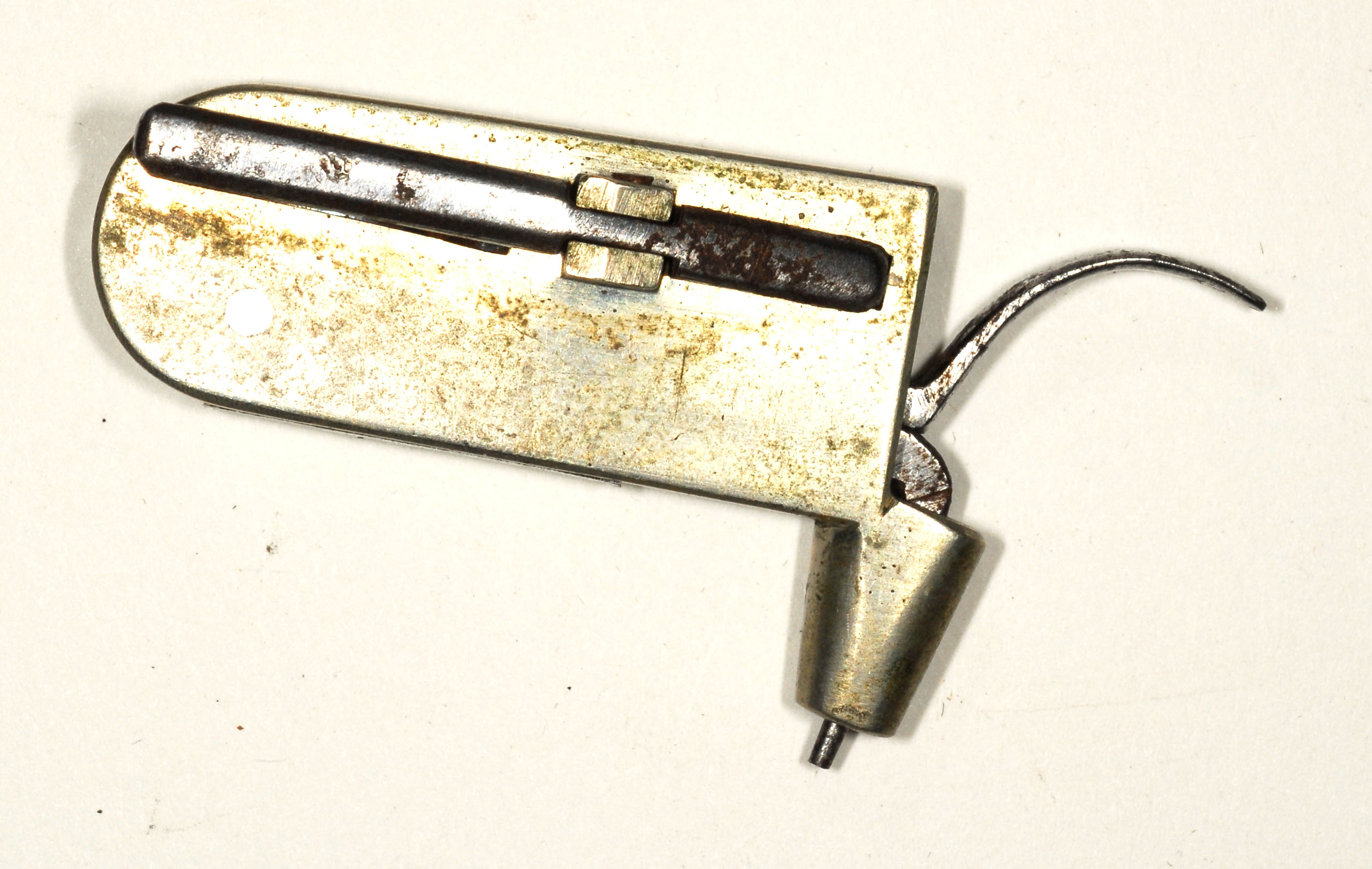 Enlarged image for image #2