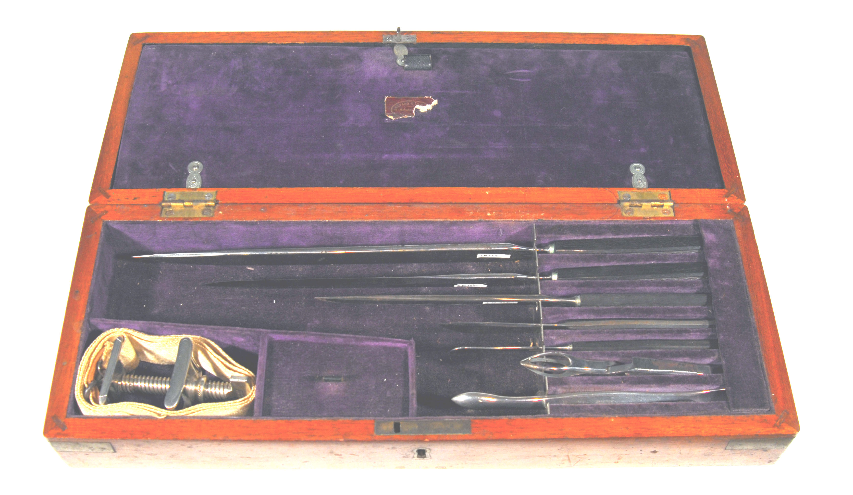 Enlarged image for image #1