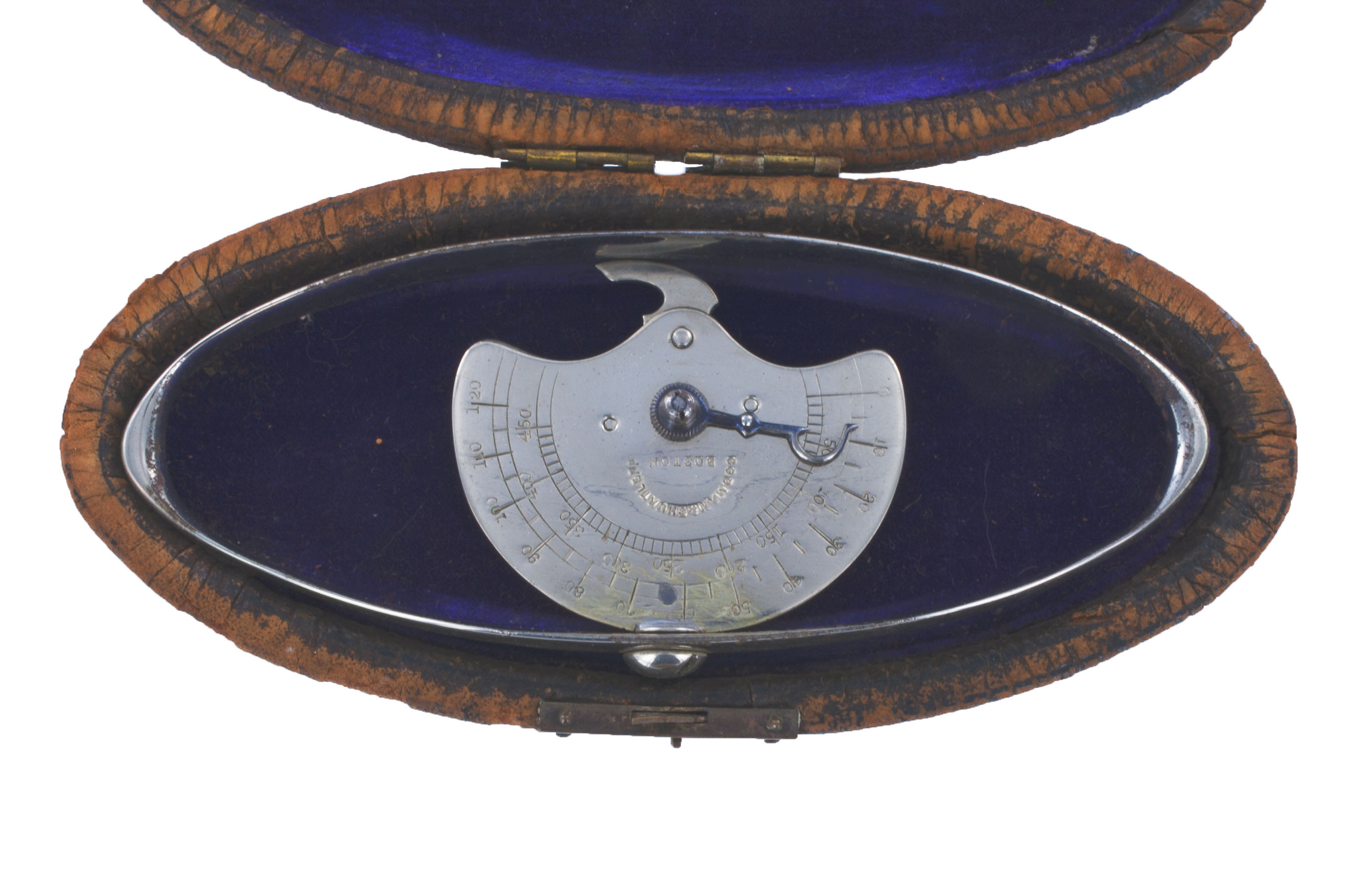 Enlarged image for image #2