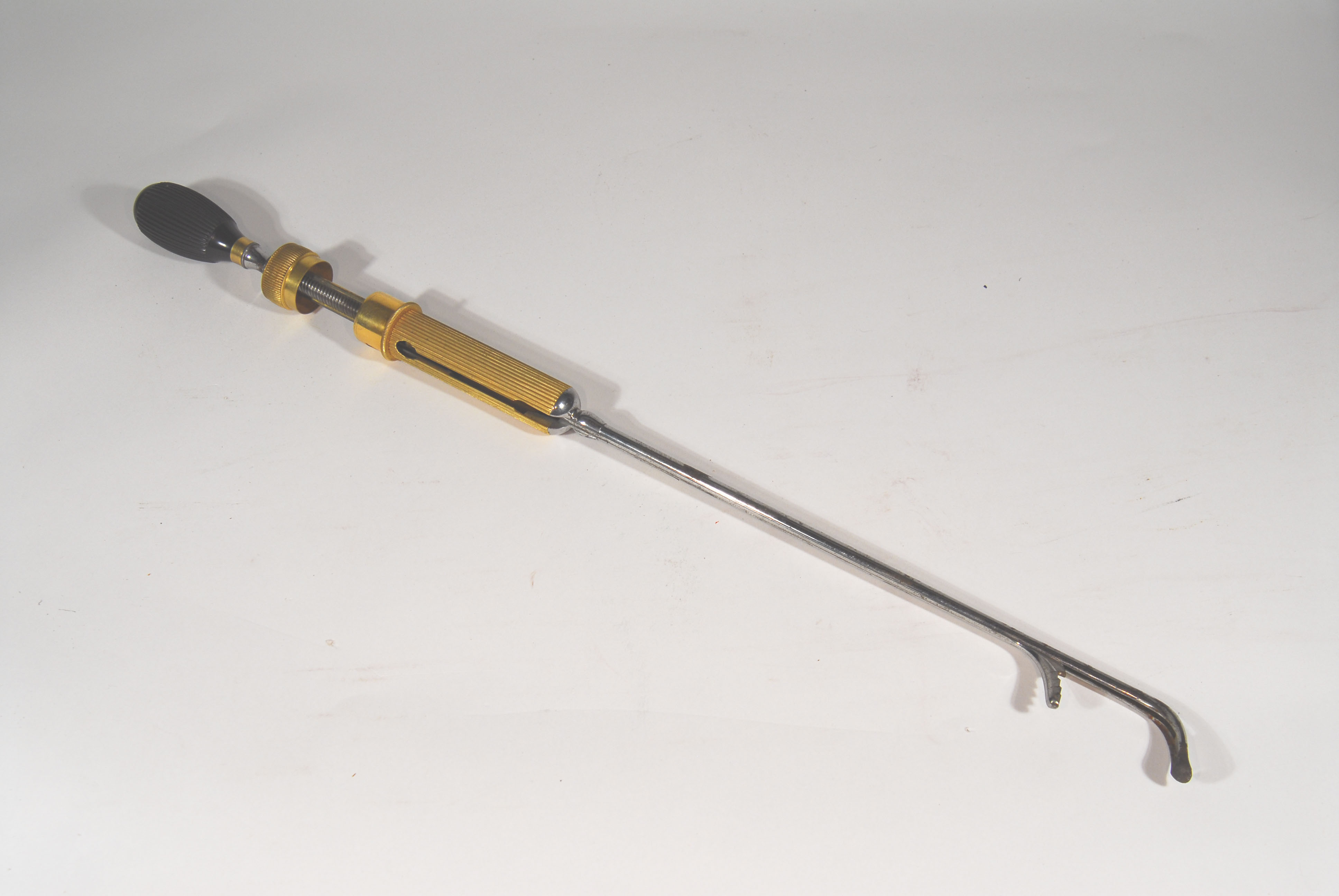 Enlarged image for image #1