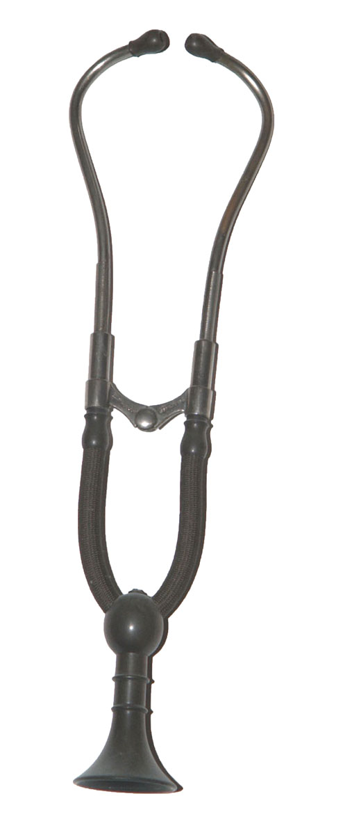 Enlarged image for image #1